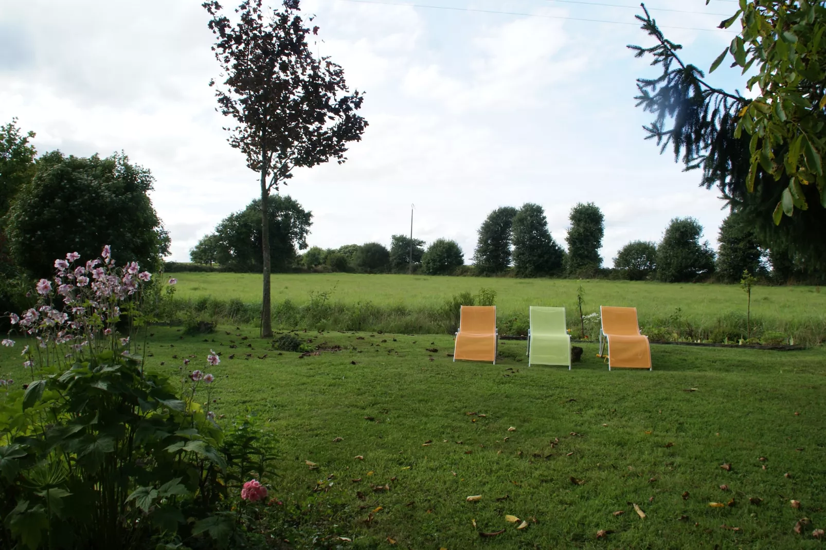 Jolie maison en pays de Rance-Jardin d'été