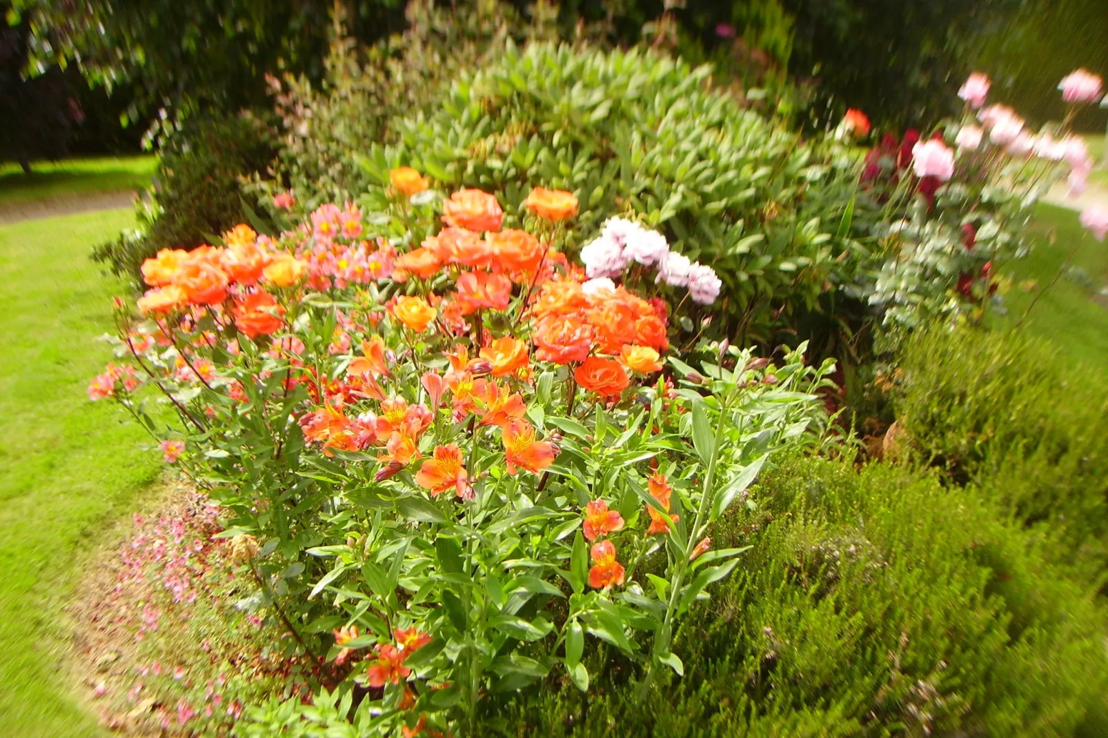 Belle maison bretonne-Jardin d'été