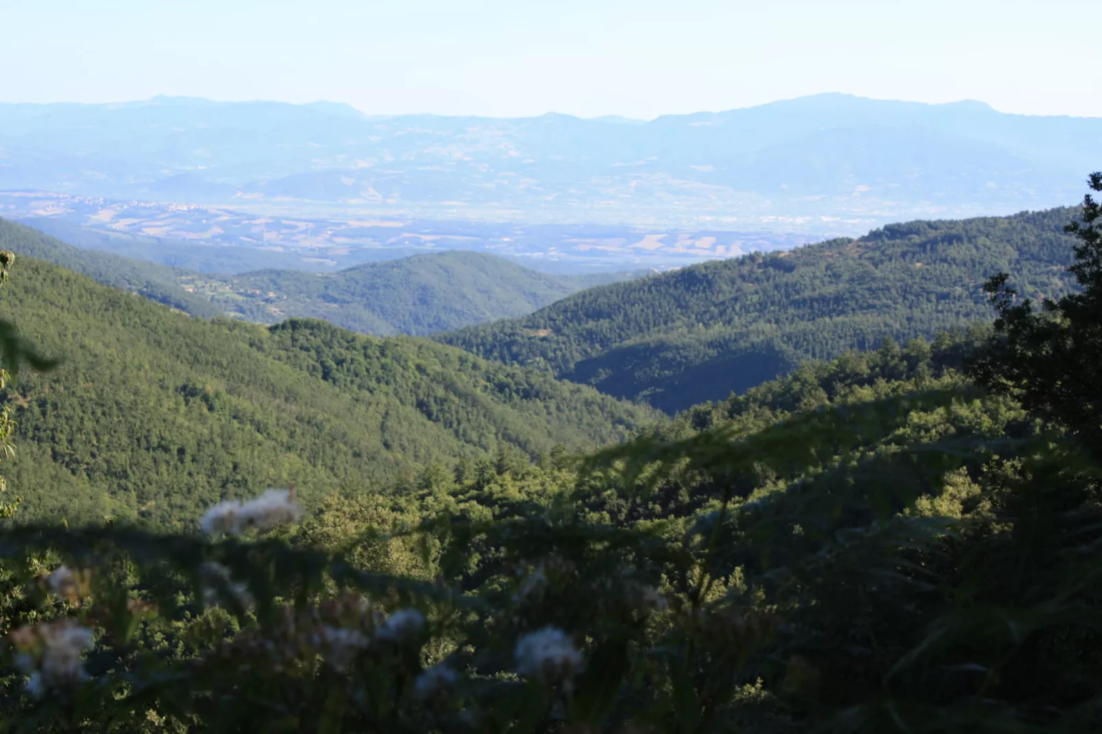 La Terrazza-Gebiete Sommer 1 km