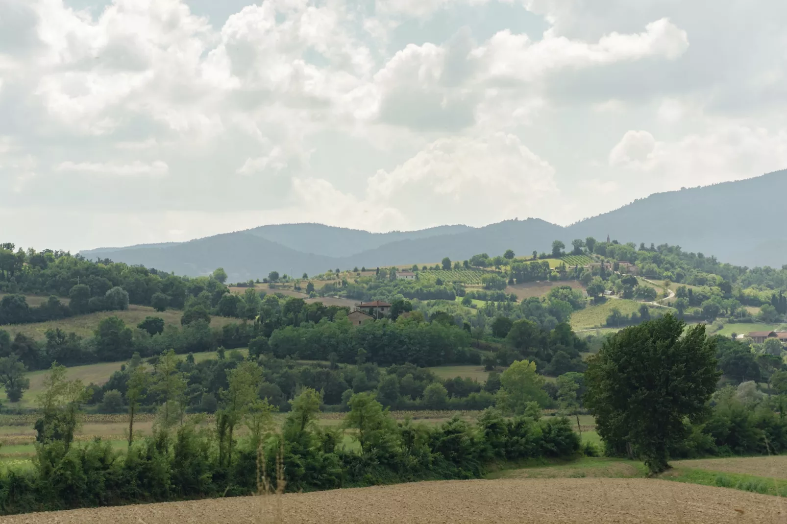 Fienile-Gebiete Sommer 5 km