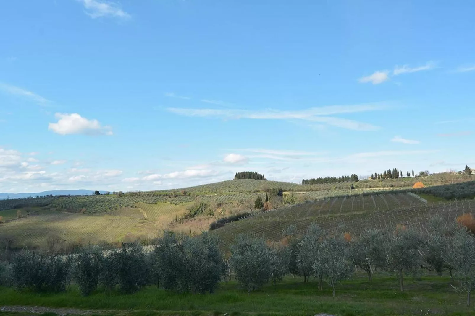 Toraio-Areas summer 5km