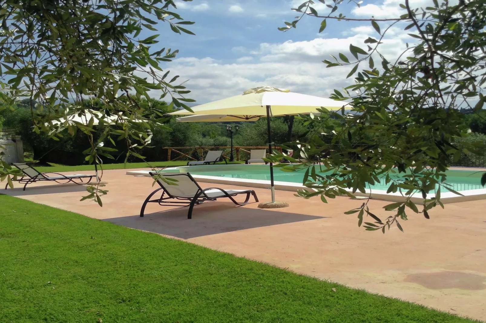 Ulivo-Pool