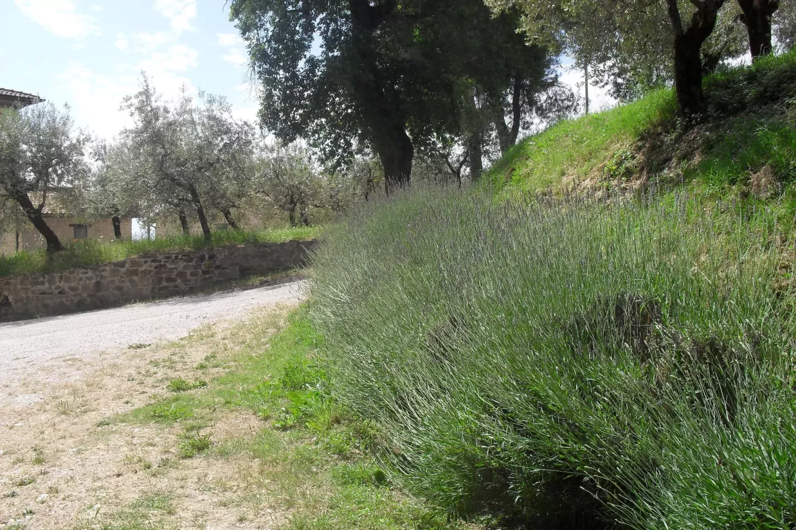 Gualdo Cattaneo Piccolo-Areas summer 5km
