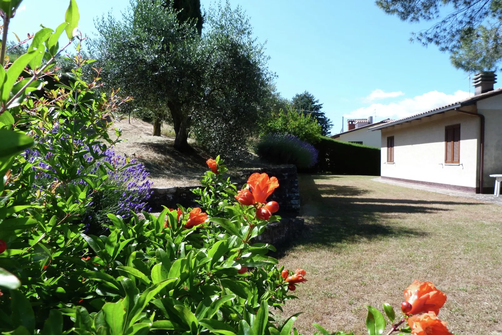 Casa Miralago-Gardens summer