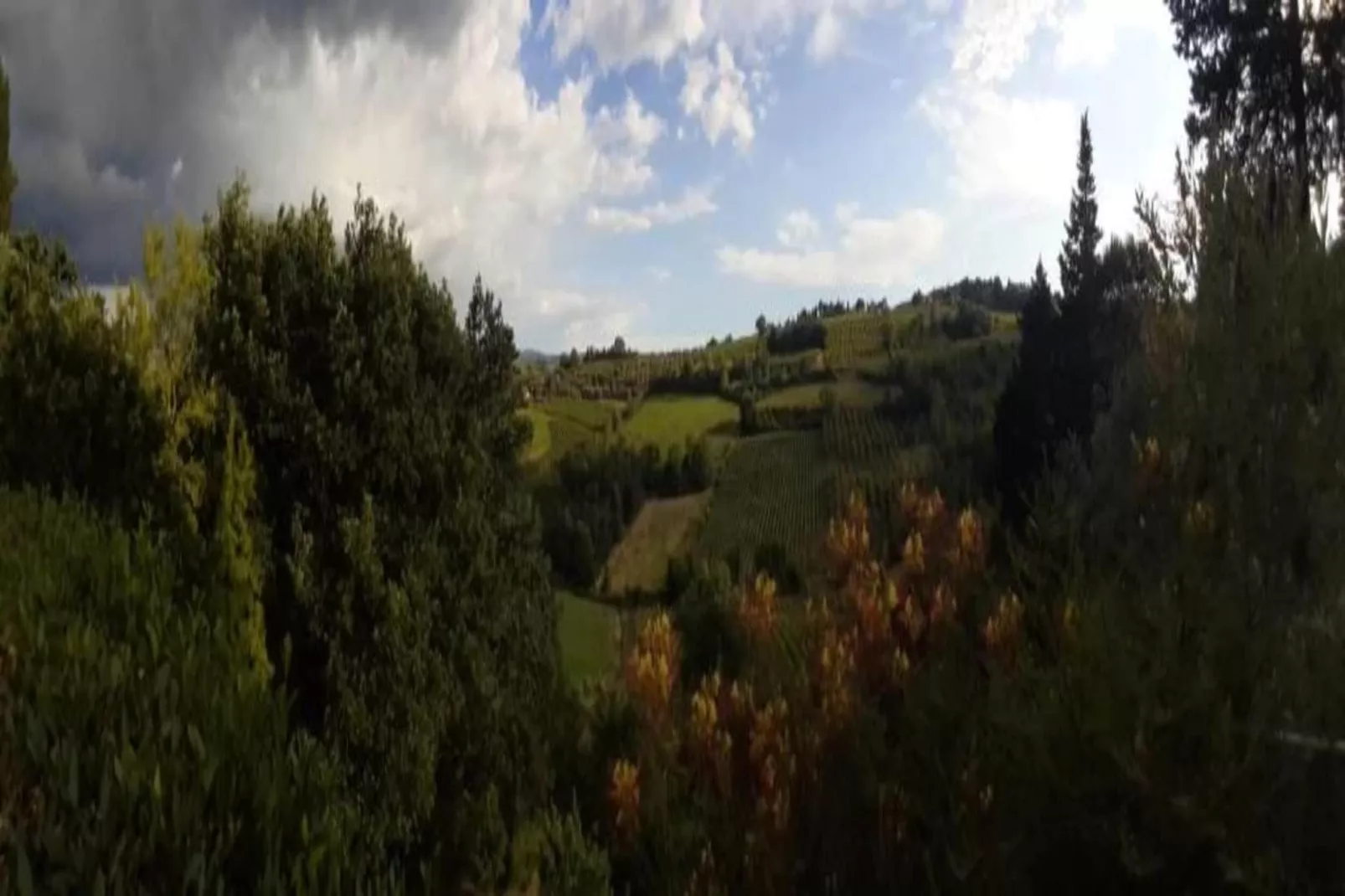 Il Poggiale-apt 9-Areas summer 20km