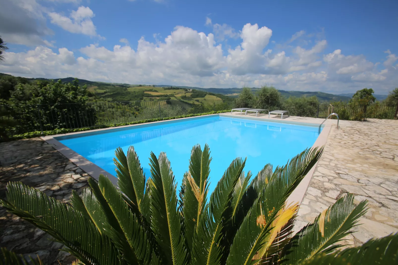 Oleandro 1-Pool