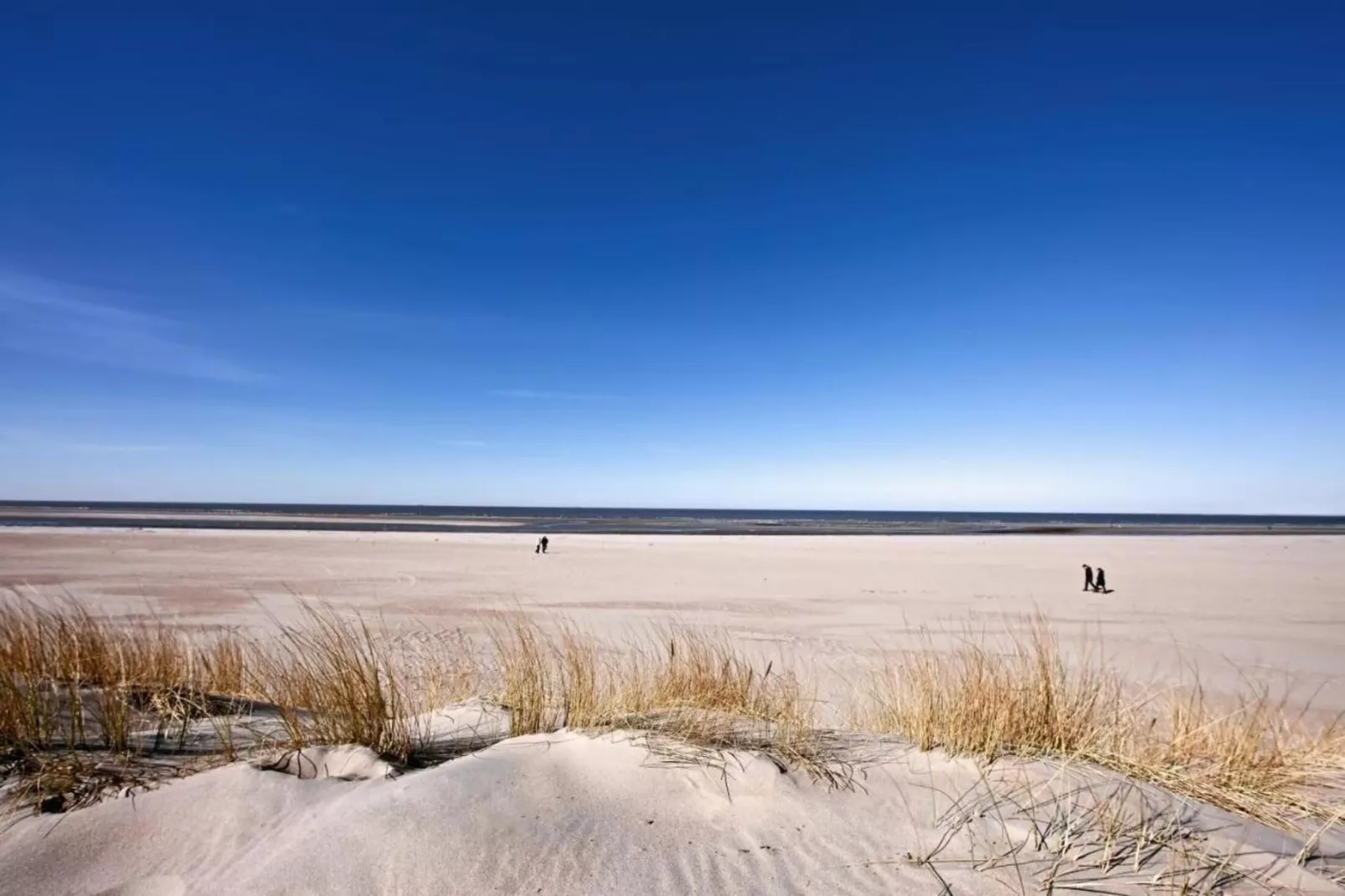Fort den Haak - Chalet 1 tm 15  hond-Areas summer 5km