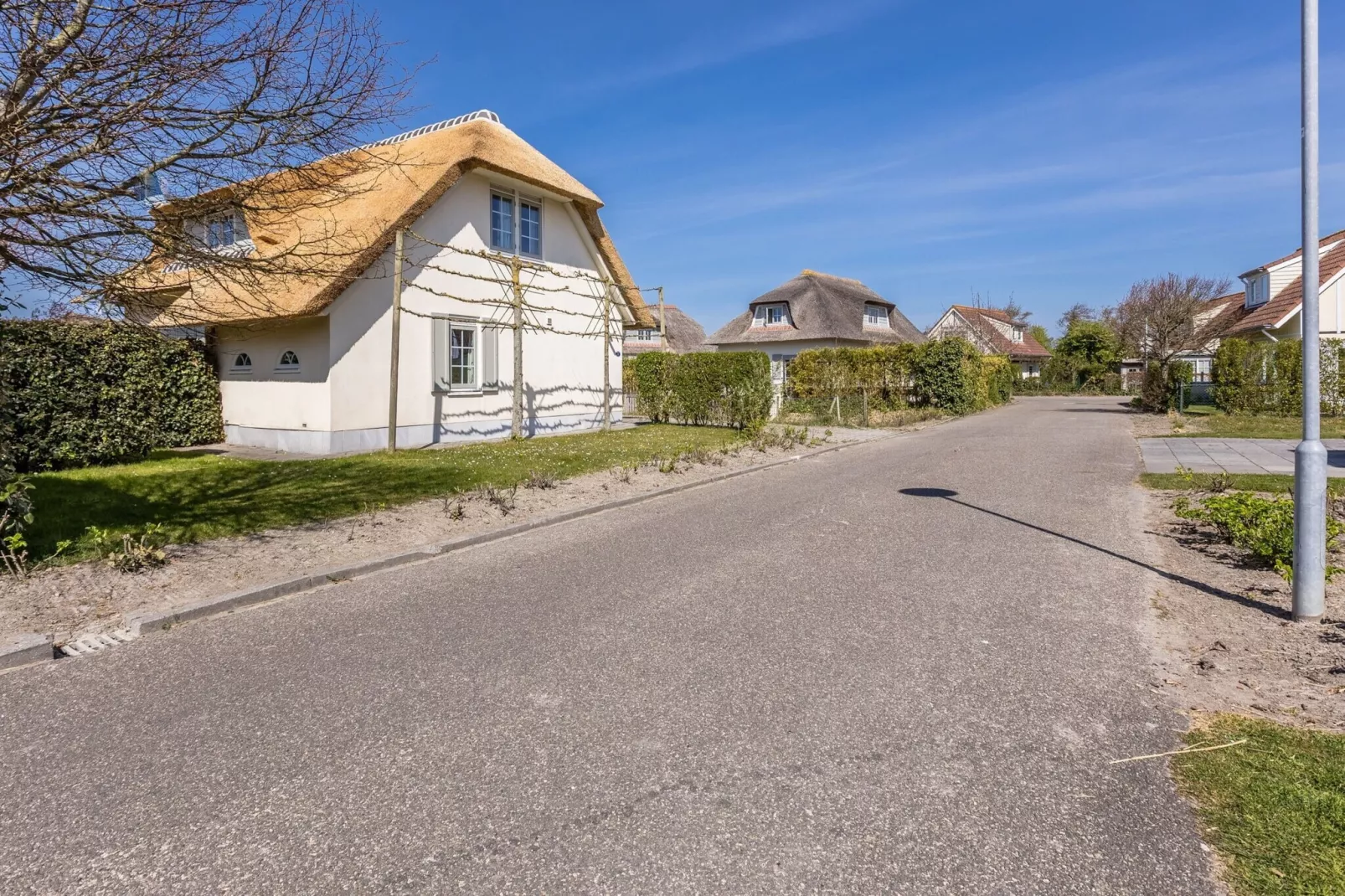 Buitenhof Domburg 12-Exterior summer