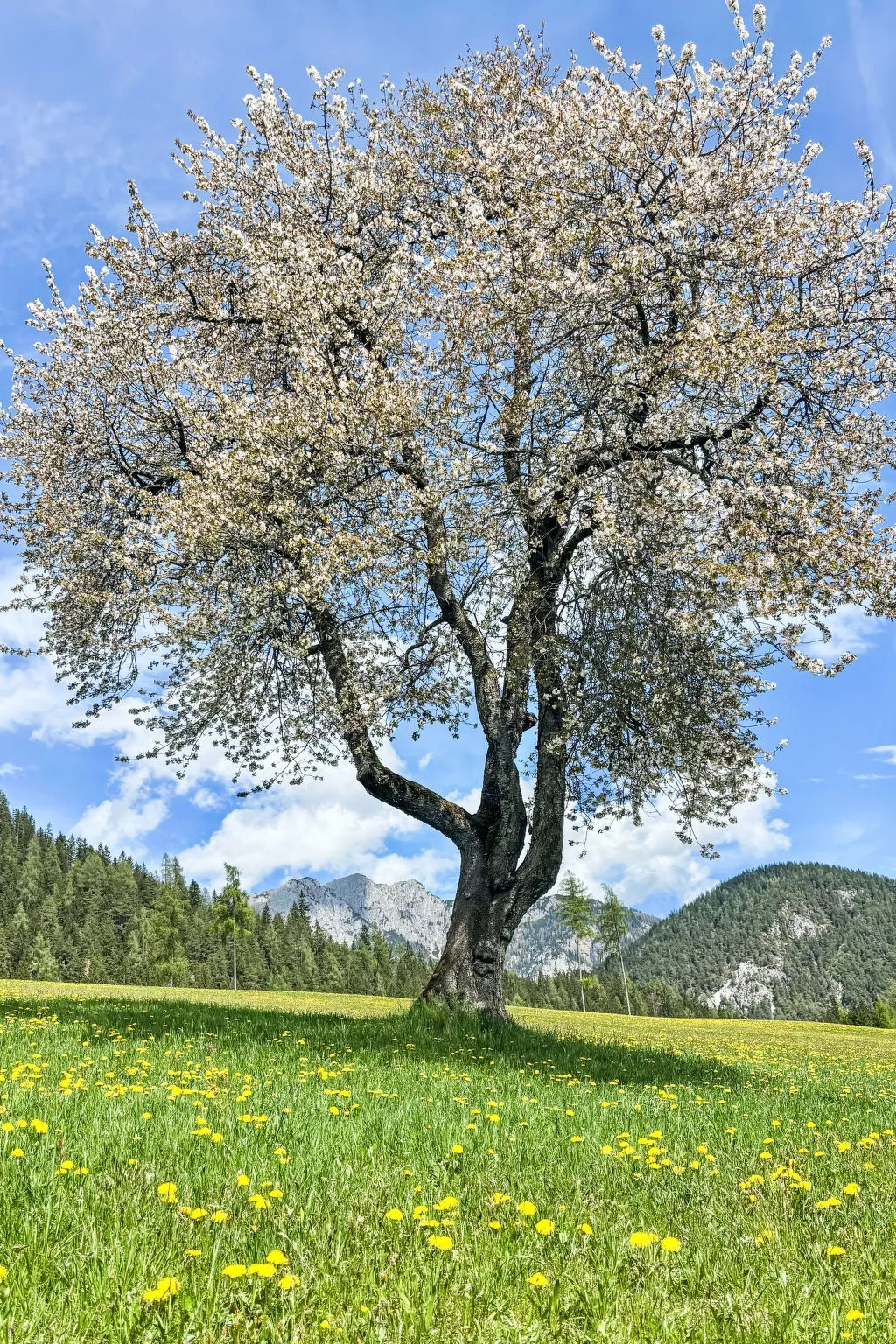 Salzmannhof-Outside