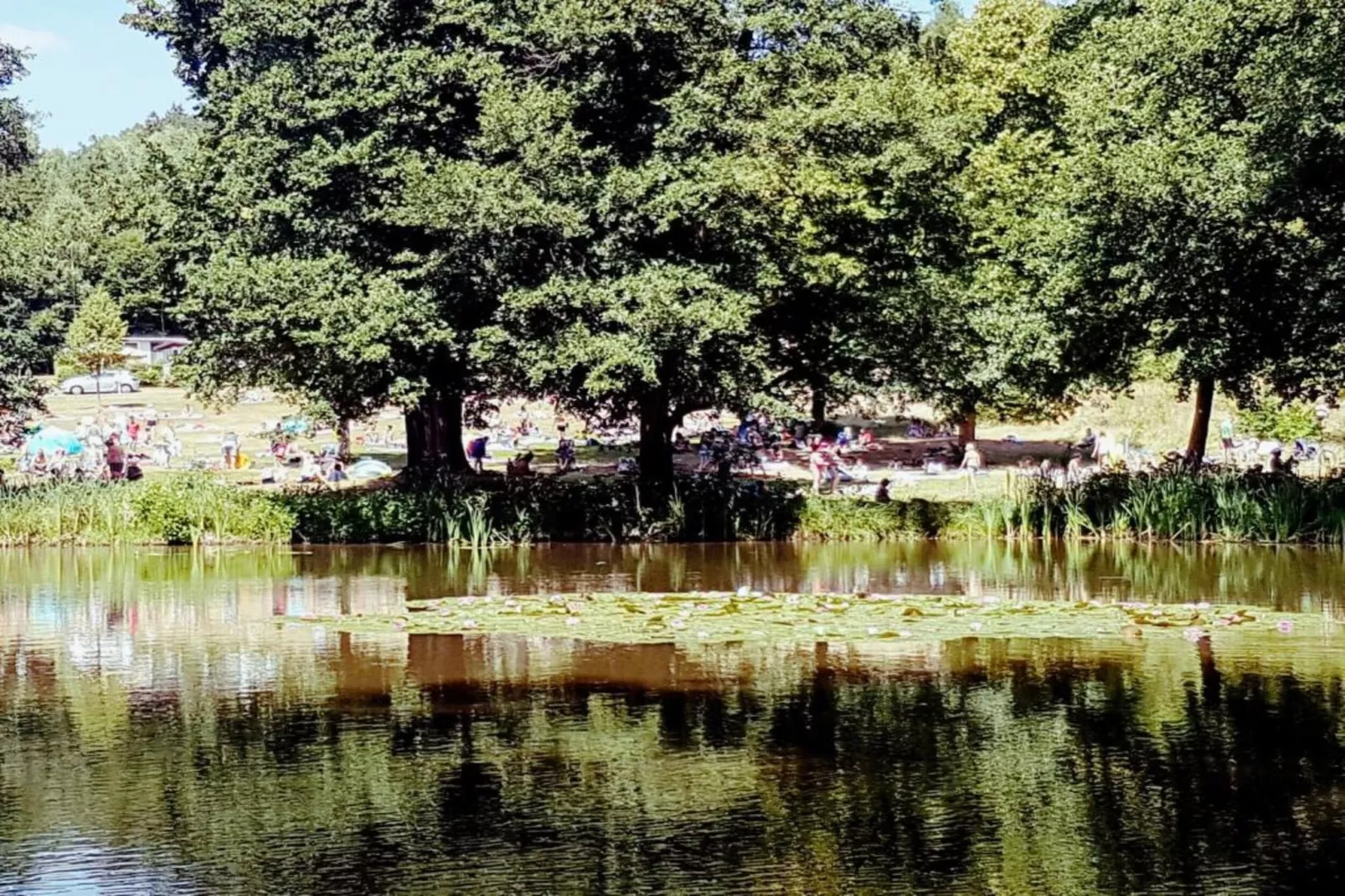 Hohe Rhön-Gebiete Sommer 20 km