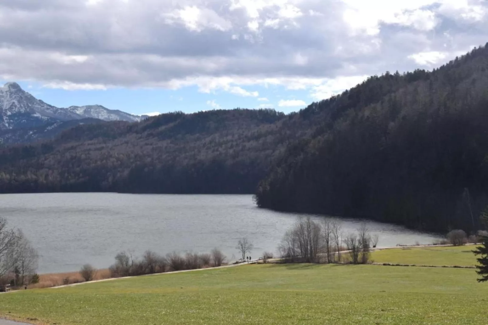 Ferienhaus Reichenbach HA-Areas summer 20km