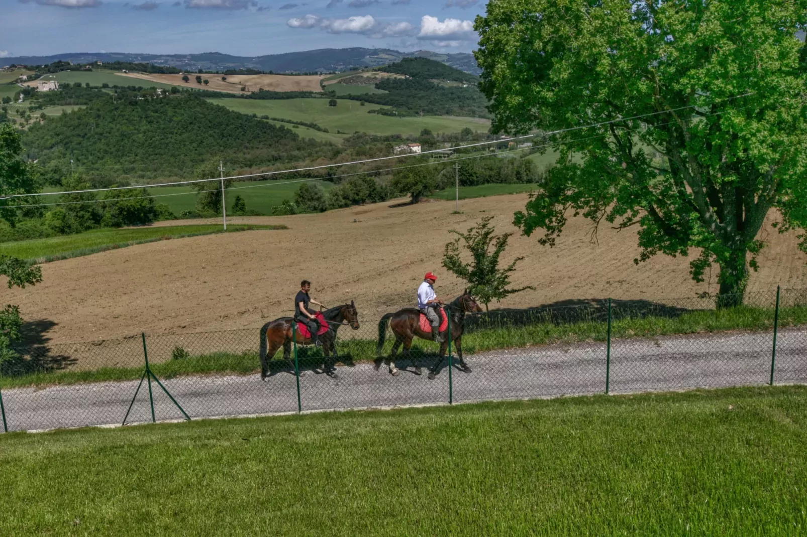 Villa Due Olive-Areas within 1km in summer