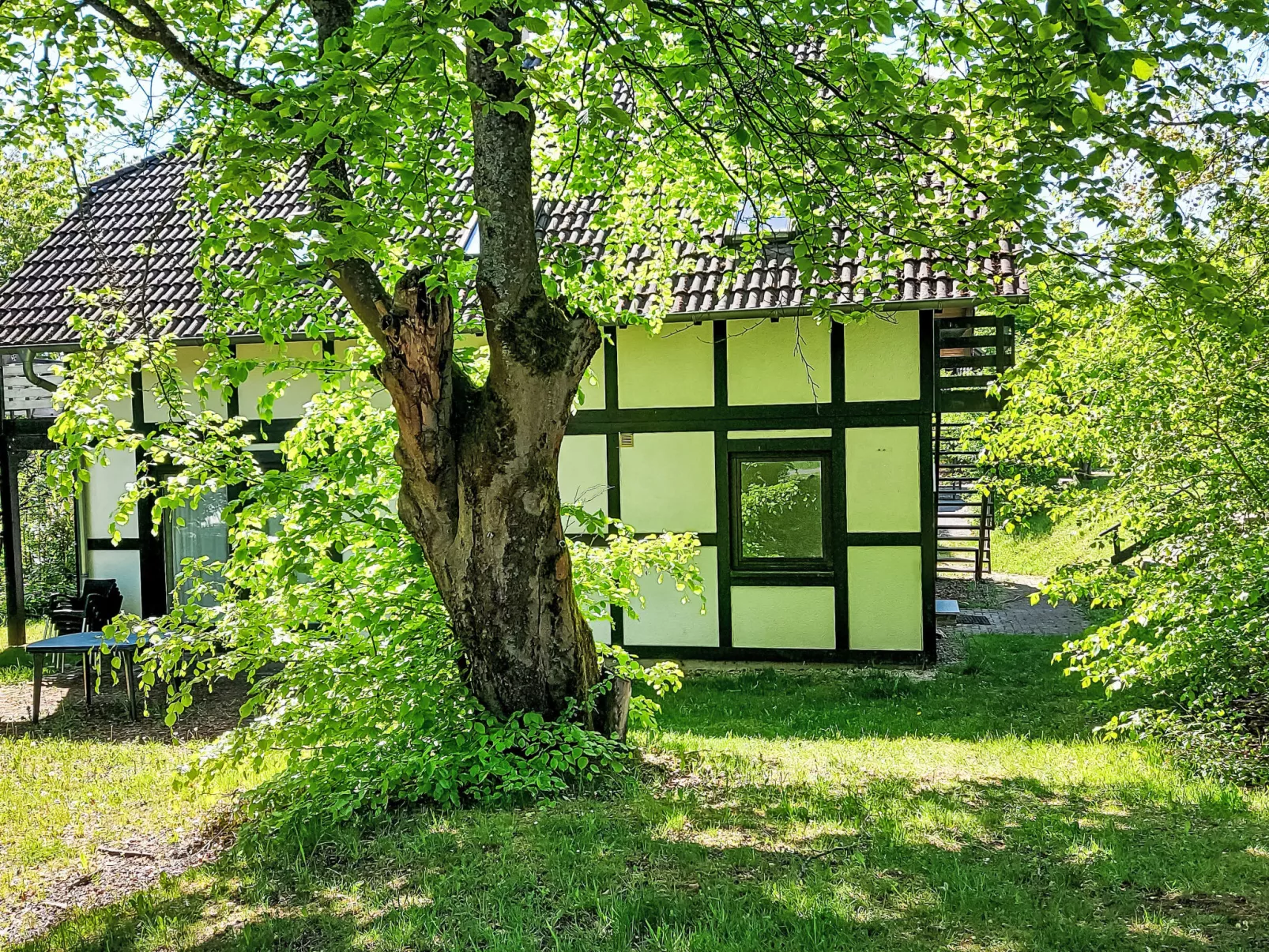 Sternberg 225-Outside