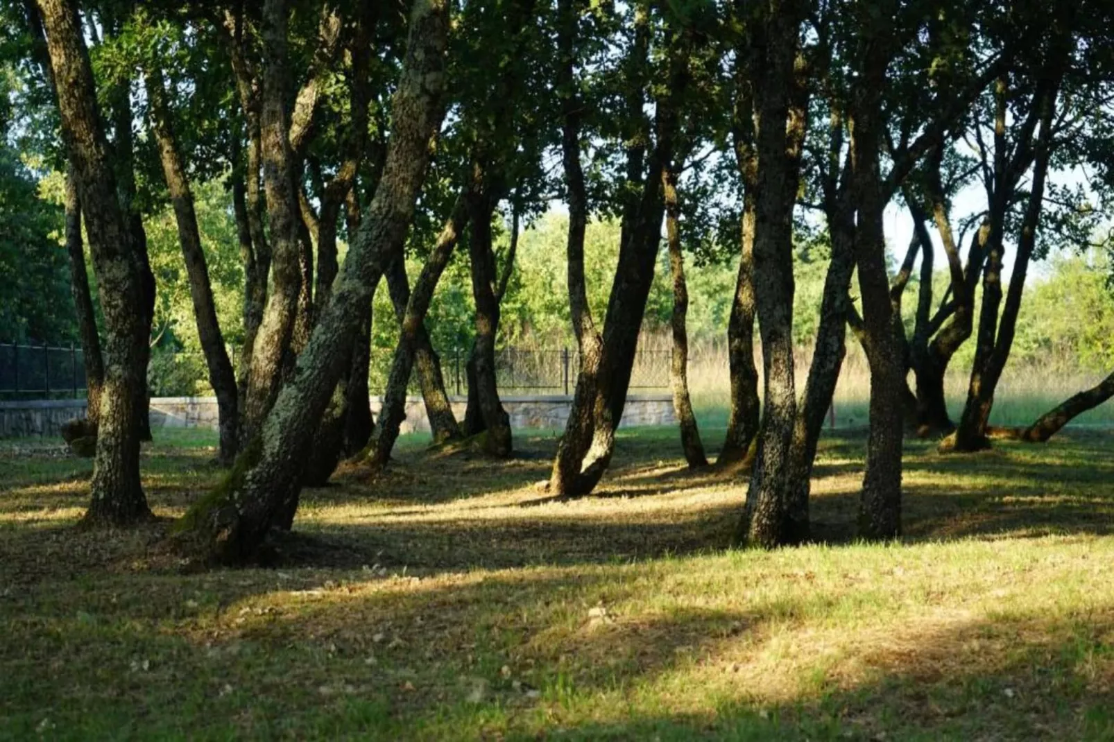 Villa Karla-Areas summer 20km