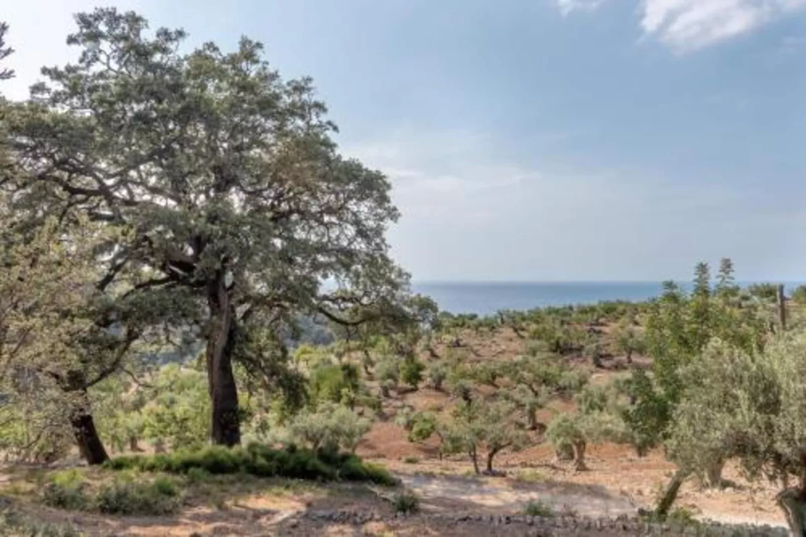 Camping del Mar BUNGALOW MEDITERRANI-Areas summer 20km