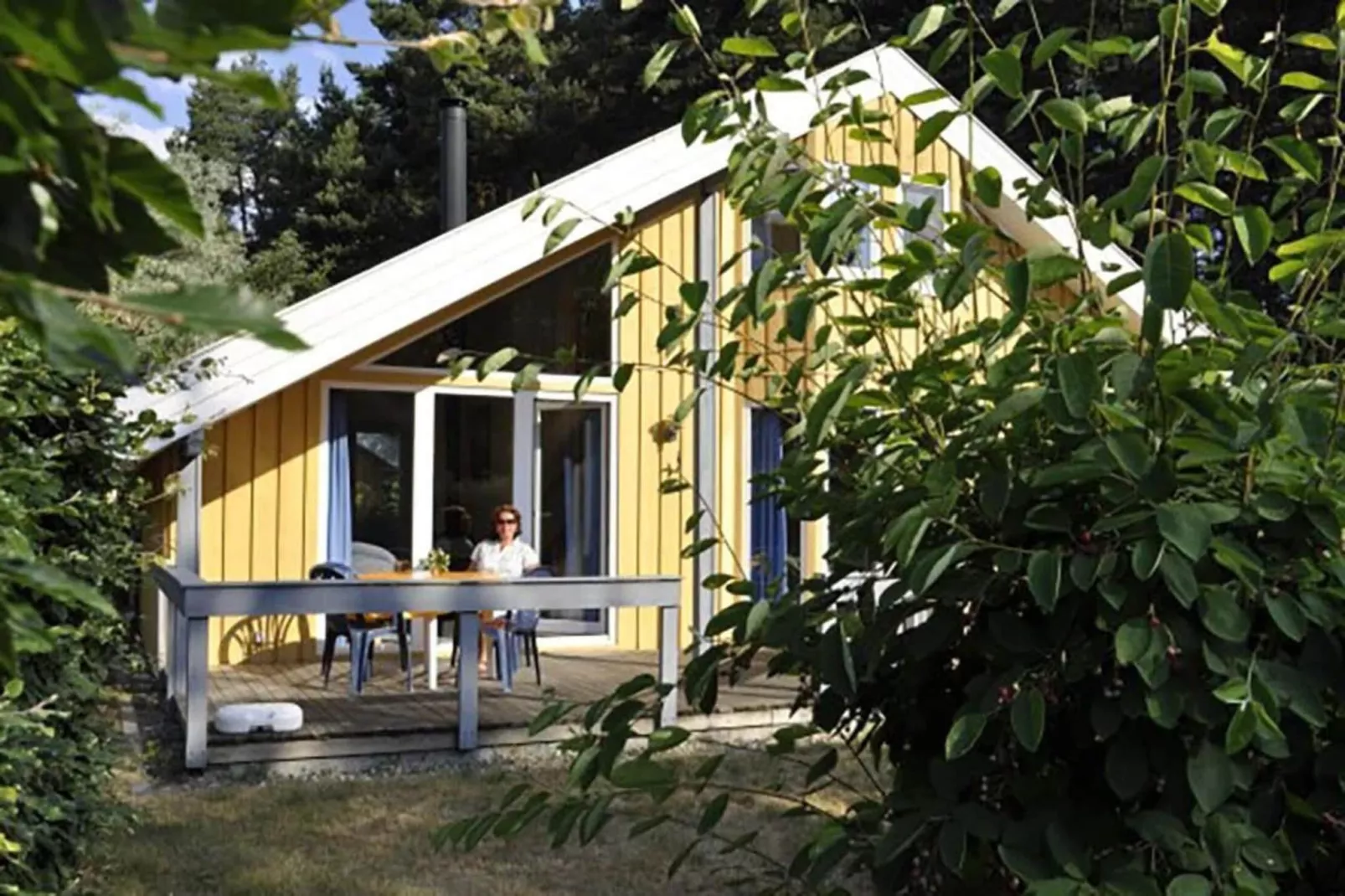 FH Wildgans Comfort Nr 207-Exterior summer