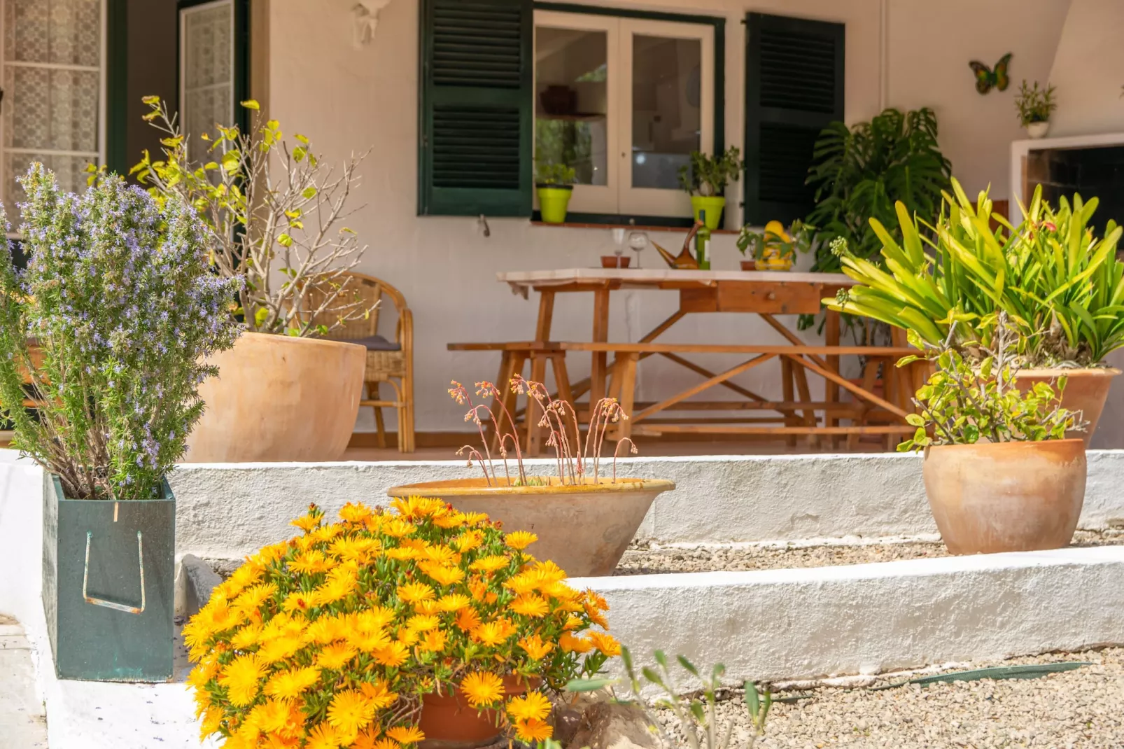 Casa Dina-Image-tags.
