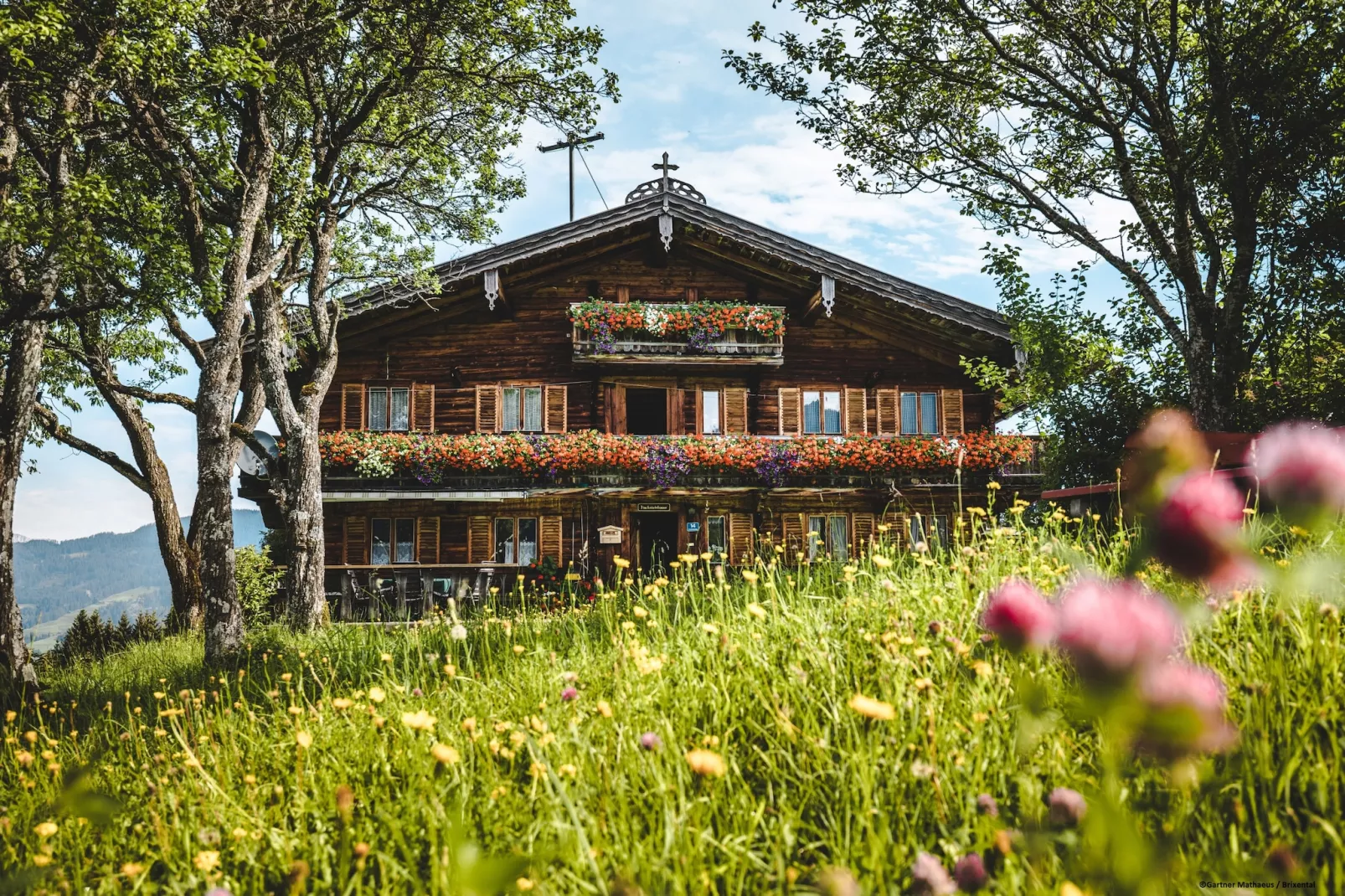 Chalet 149 Westendorf 6-Exterior summer