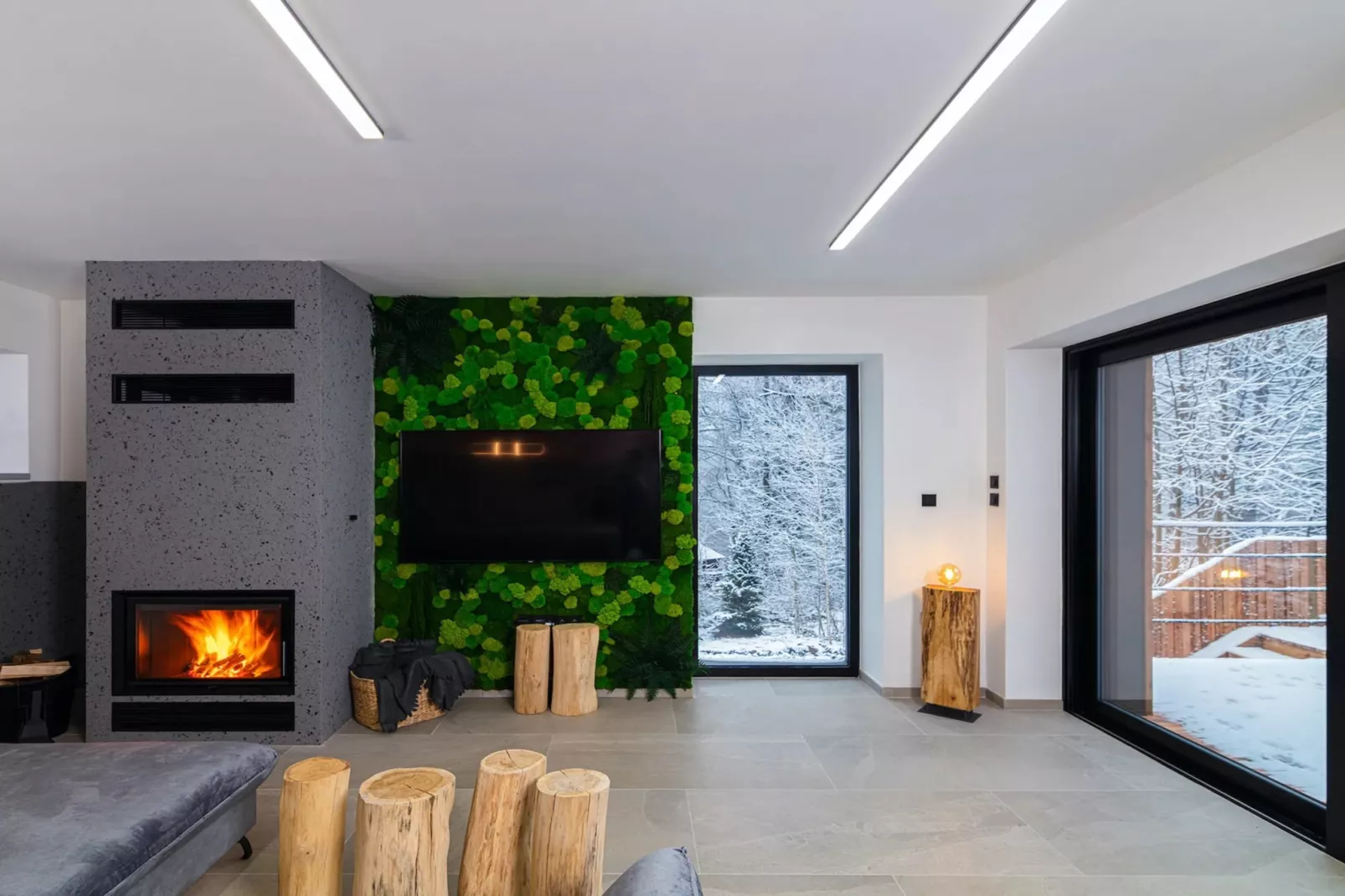 Celadna MCMV530-Living room