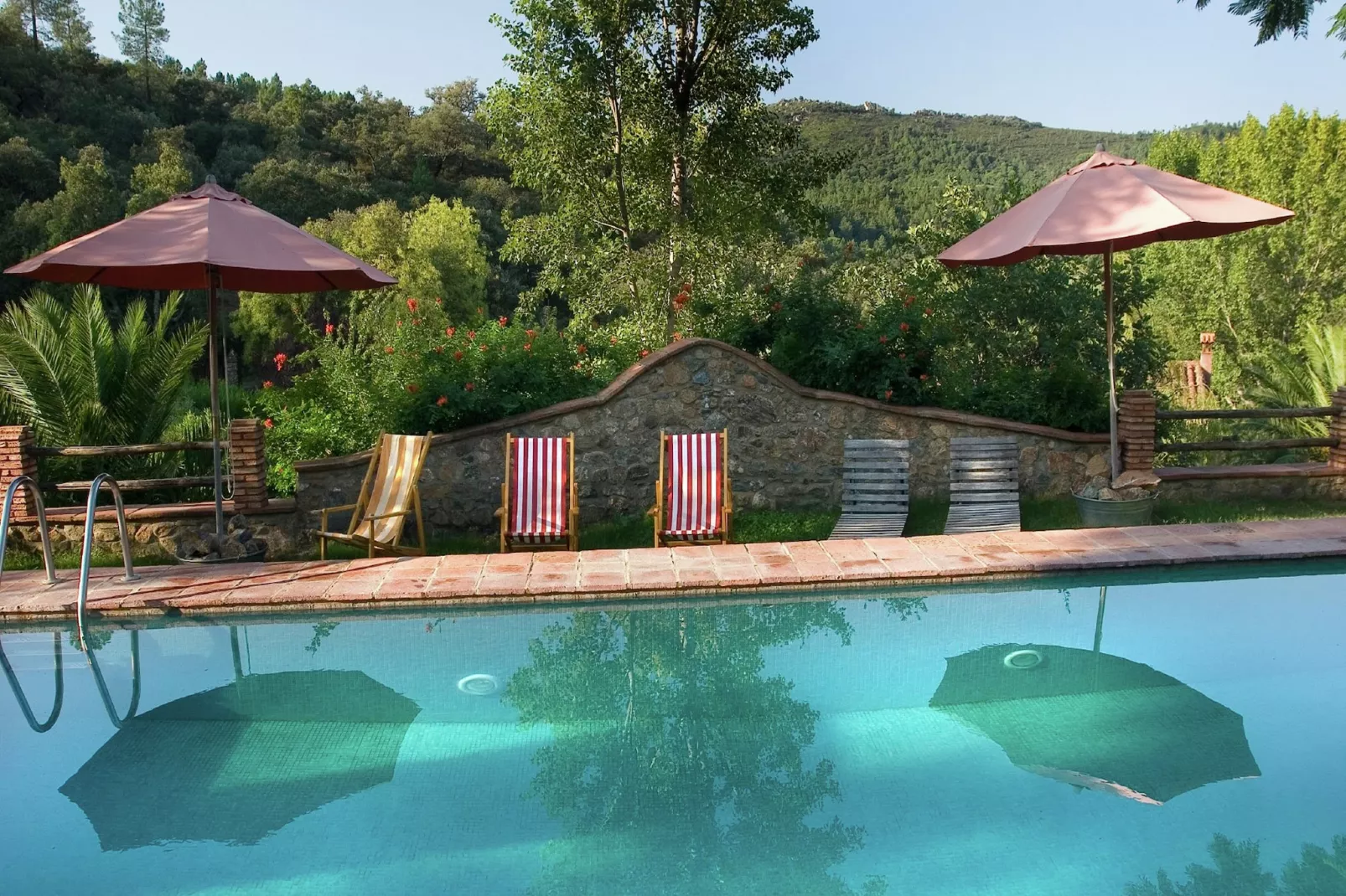 The Stork-Pool