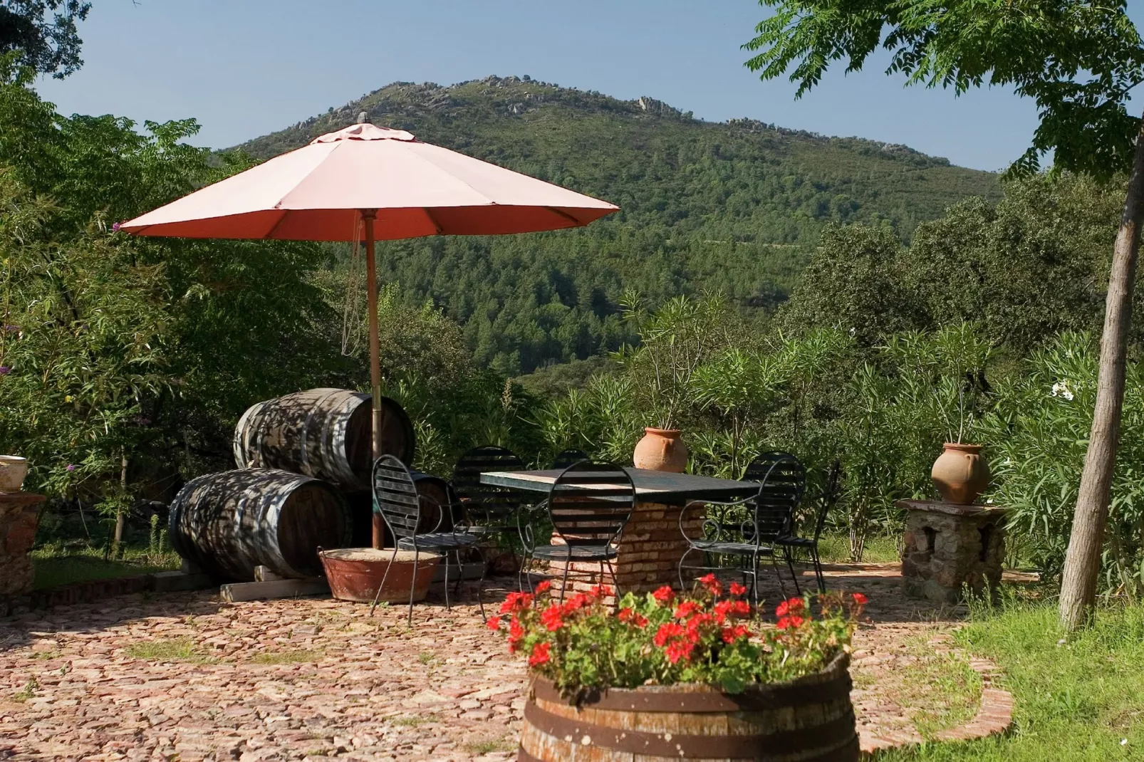 The Turtle-Terrace balcony