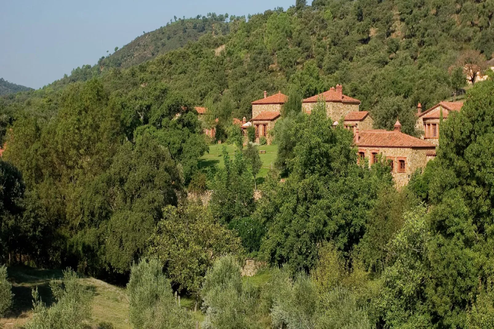 The Owl-Areas summer 1km