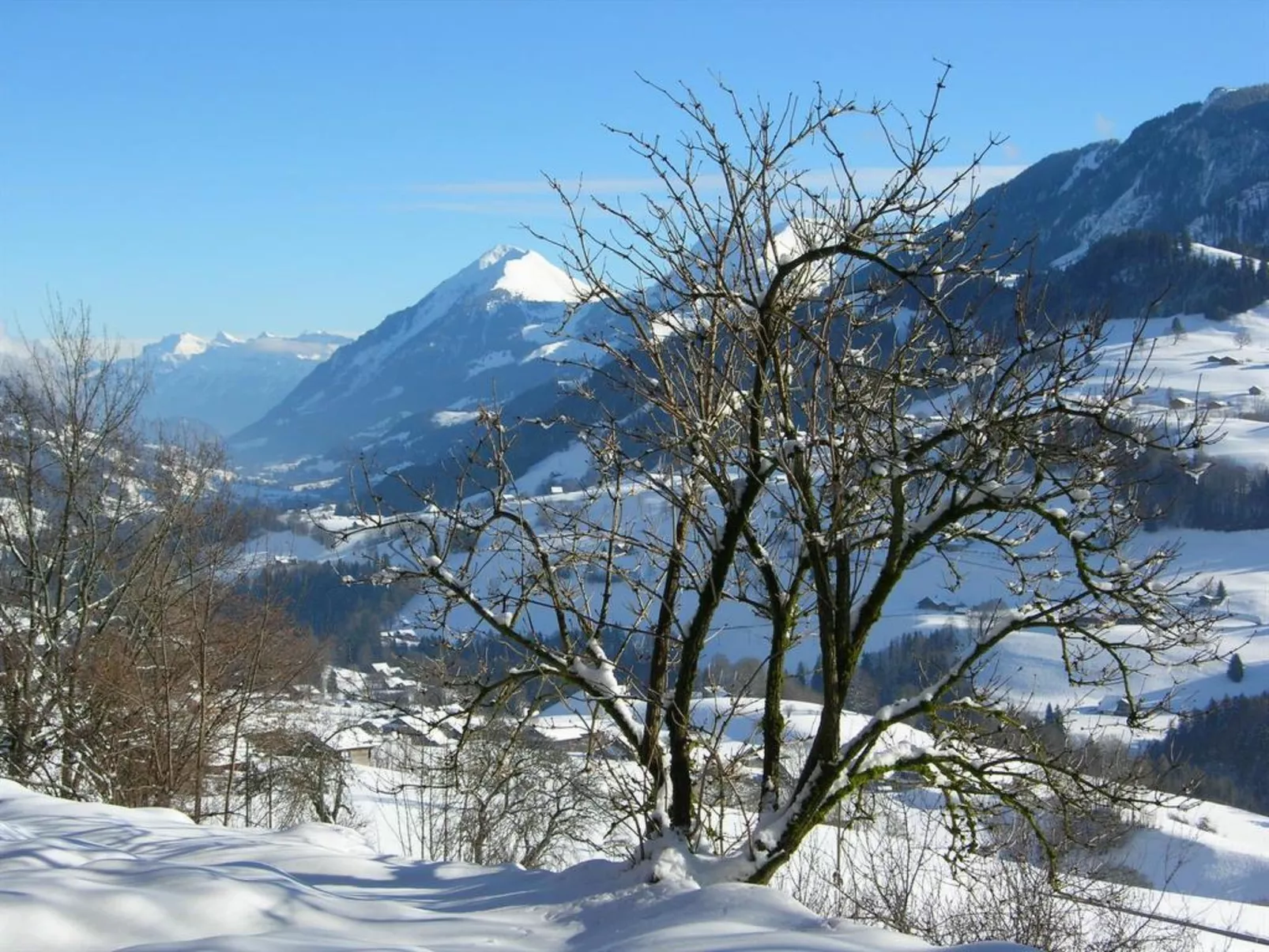 Auf der Mauer-Dehors