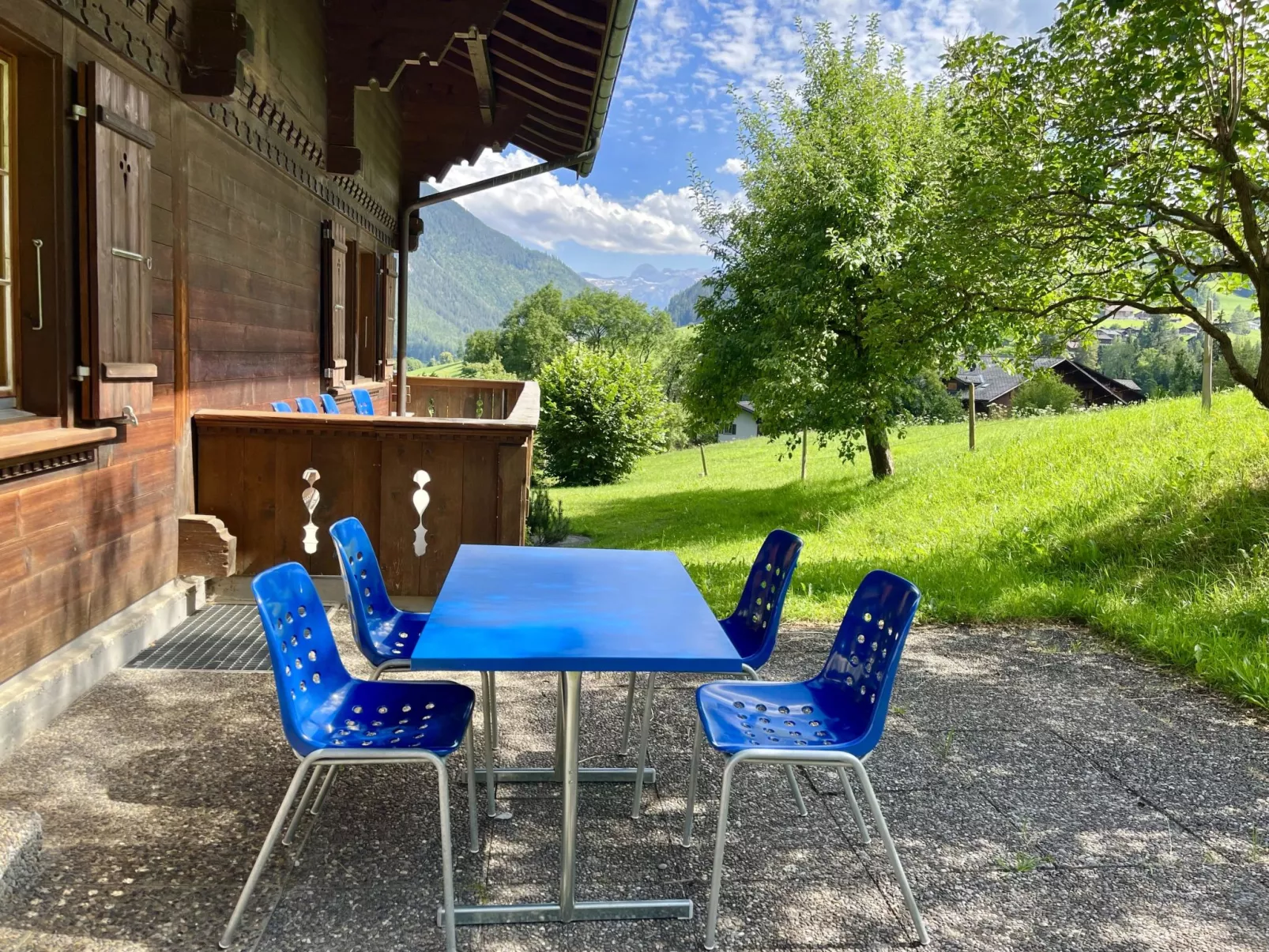 Akelei (gross)-Draußen