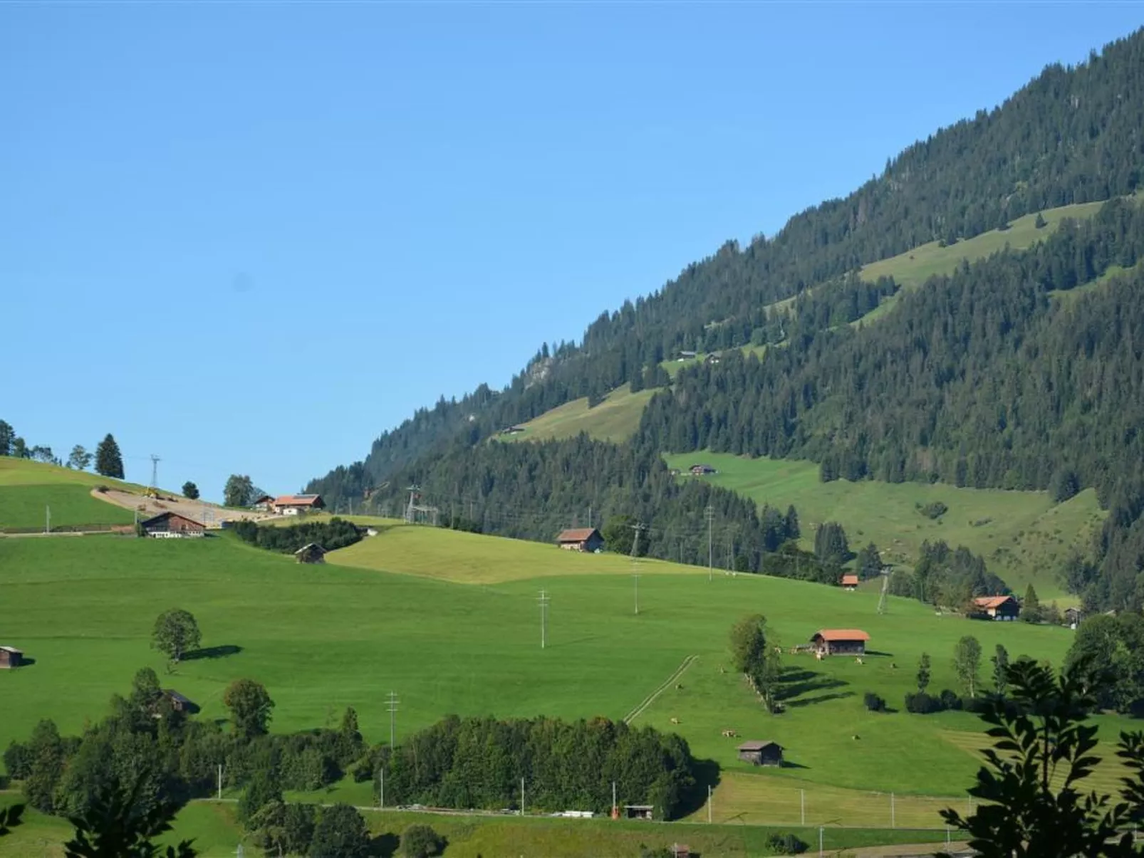 Eichhorn-Outside