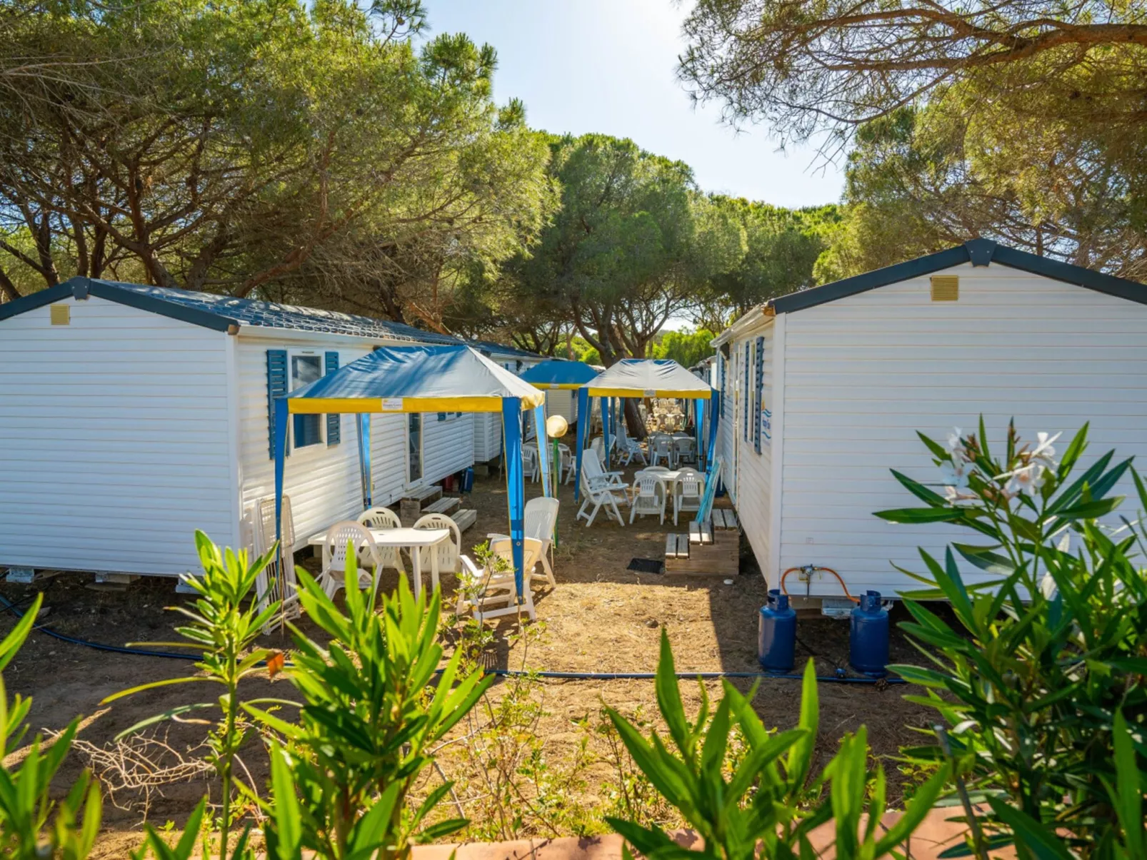 Camping Baia Paradiso-Outside