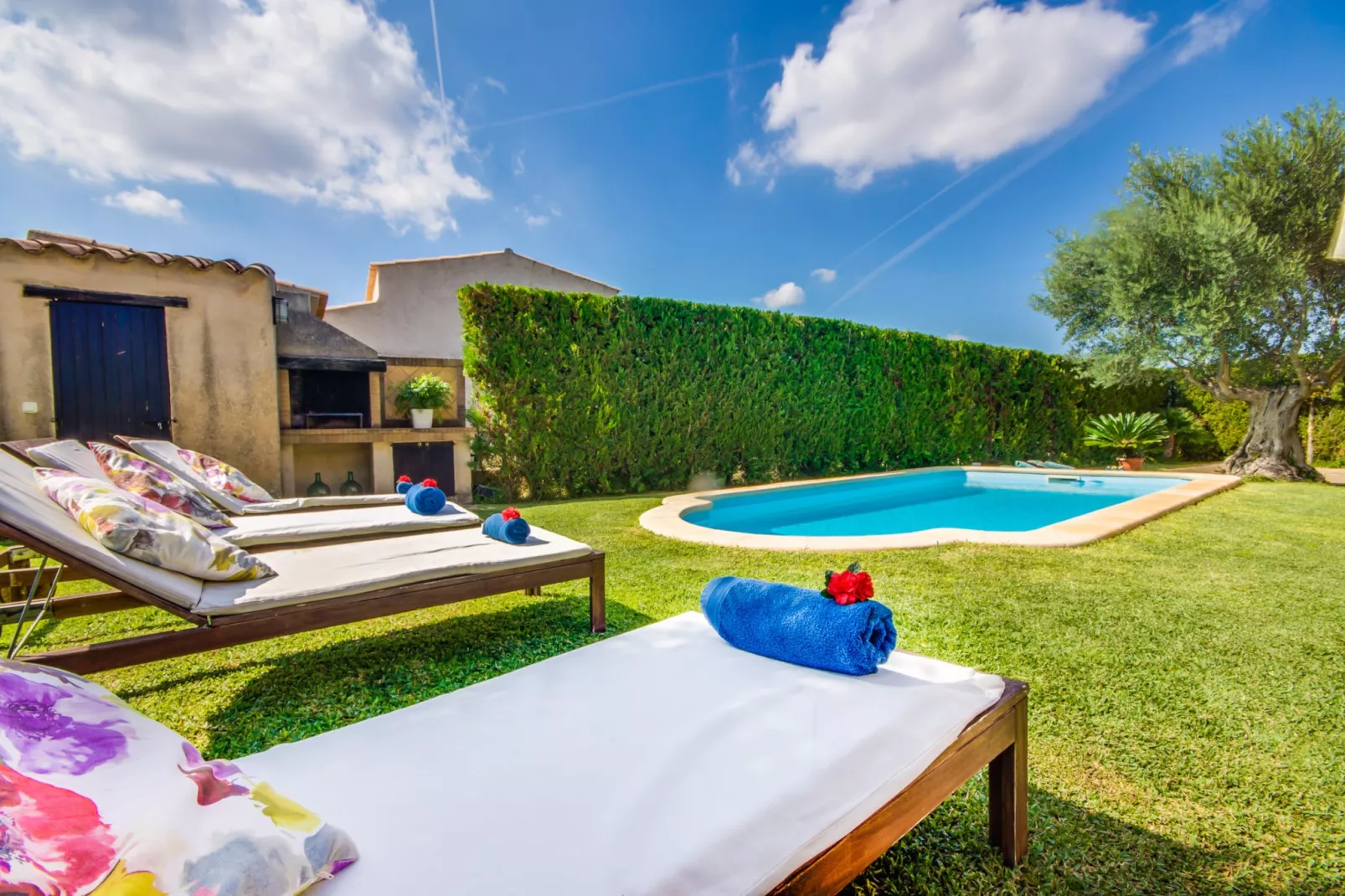 Finca Es Puput-Pool