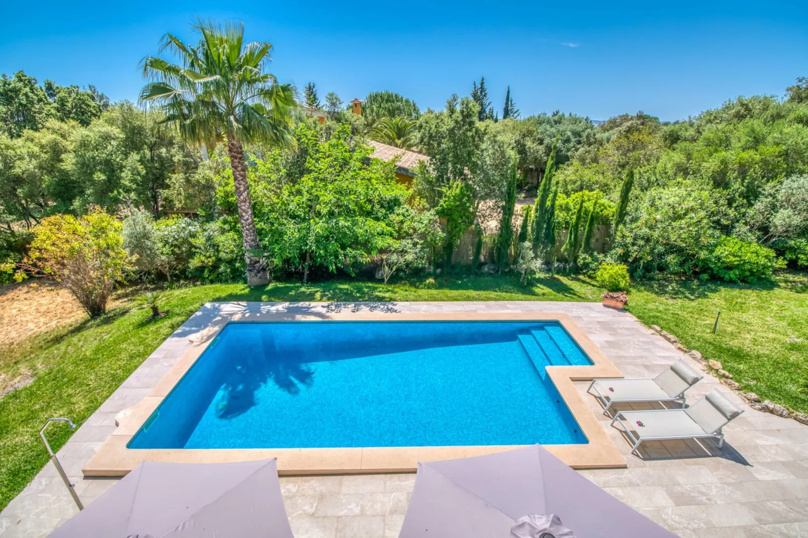 Villa Flores-Gardens summer