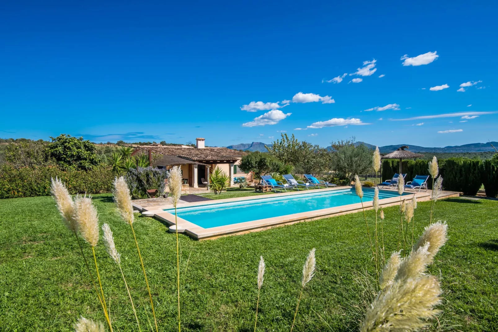 Barranc de Son Fullos-Gardens summer