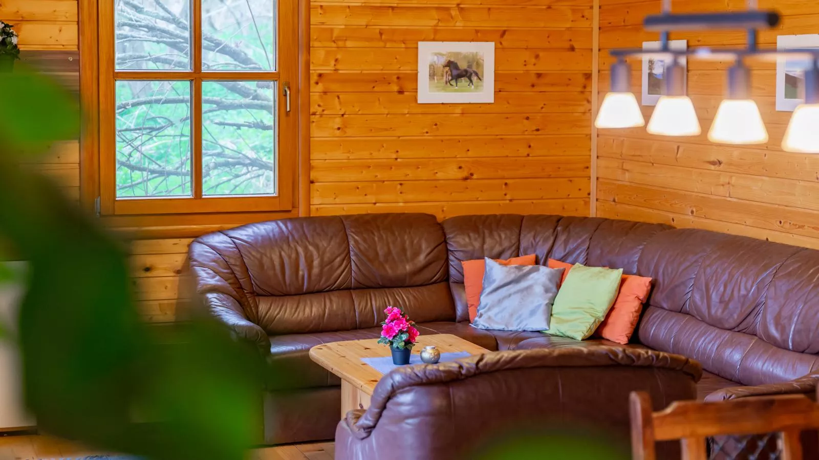 Karawankenpanorama-Living room