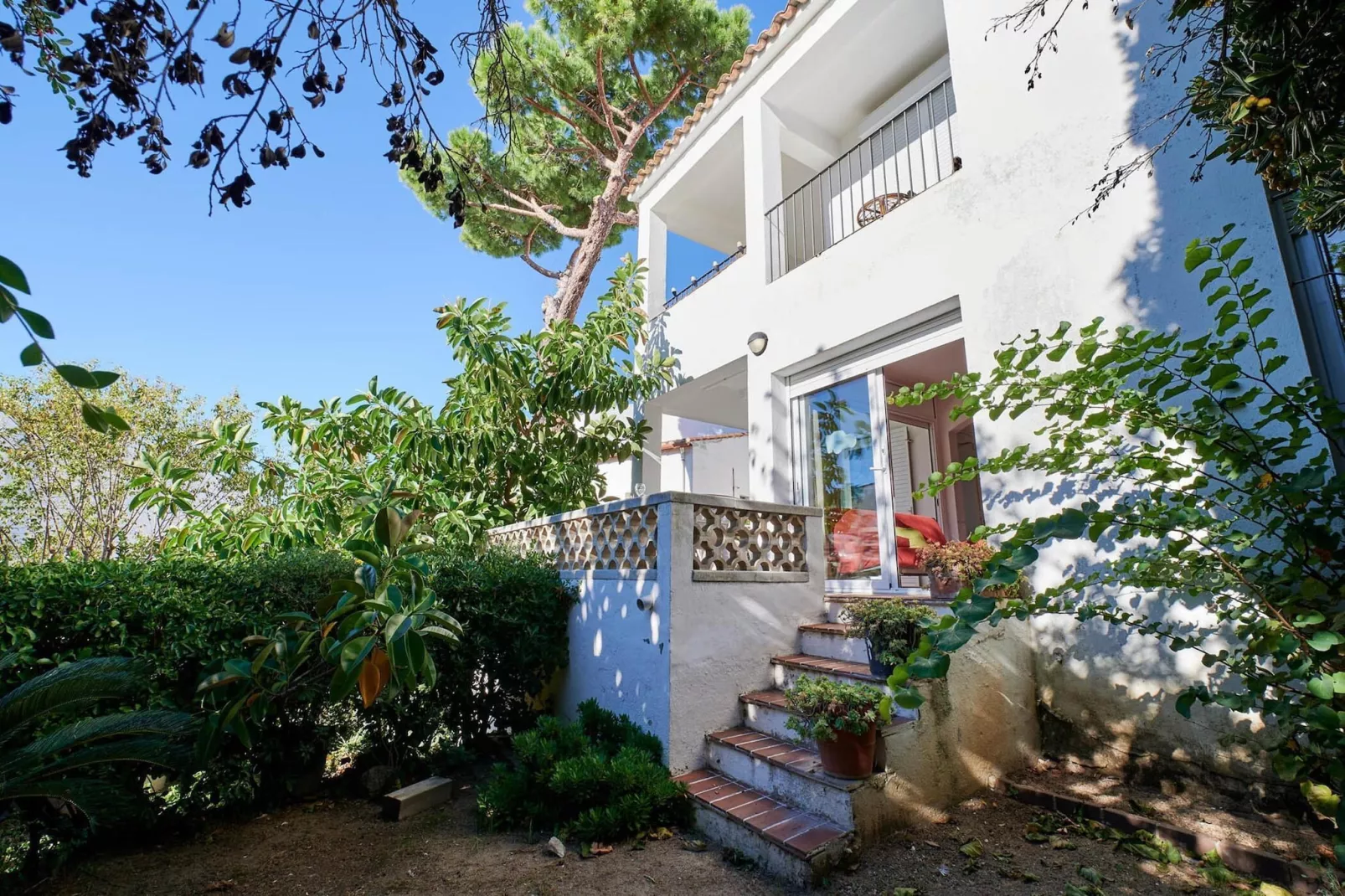 Aurora 4-Exterior summer