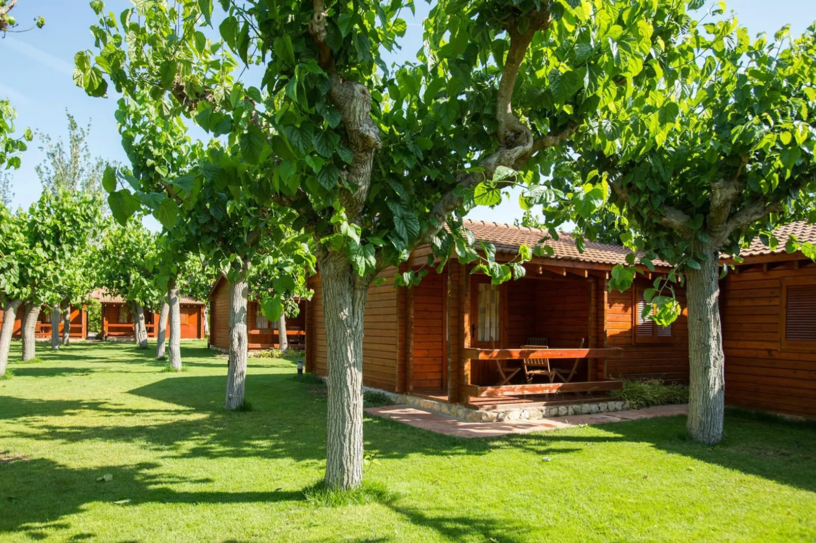 La Llosa Gregal- BUNGALOWS-Exterior summer