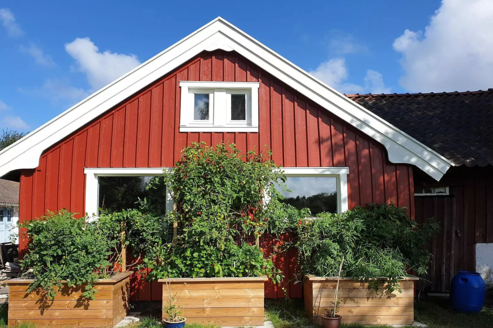 4 Sterne Ferienhaus in Åsa-Außenbereich