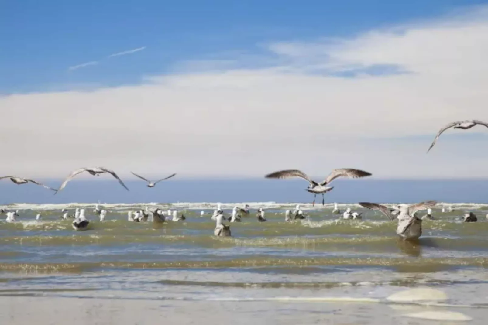 Resort Beachside 1-Gebiete Sommer 5 km
