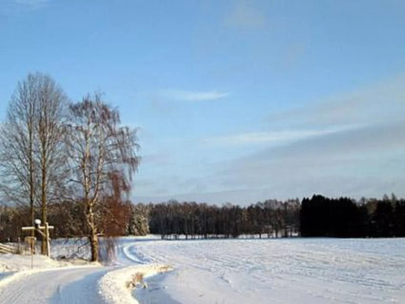 Villa vuorikotka-Outside