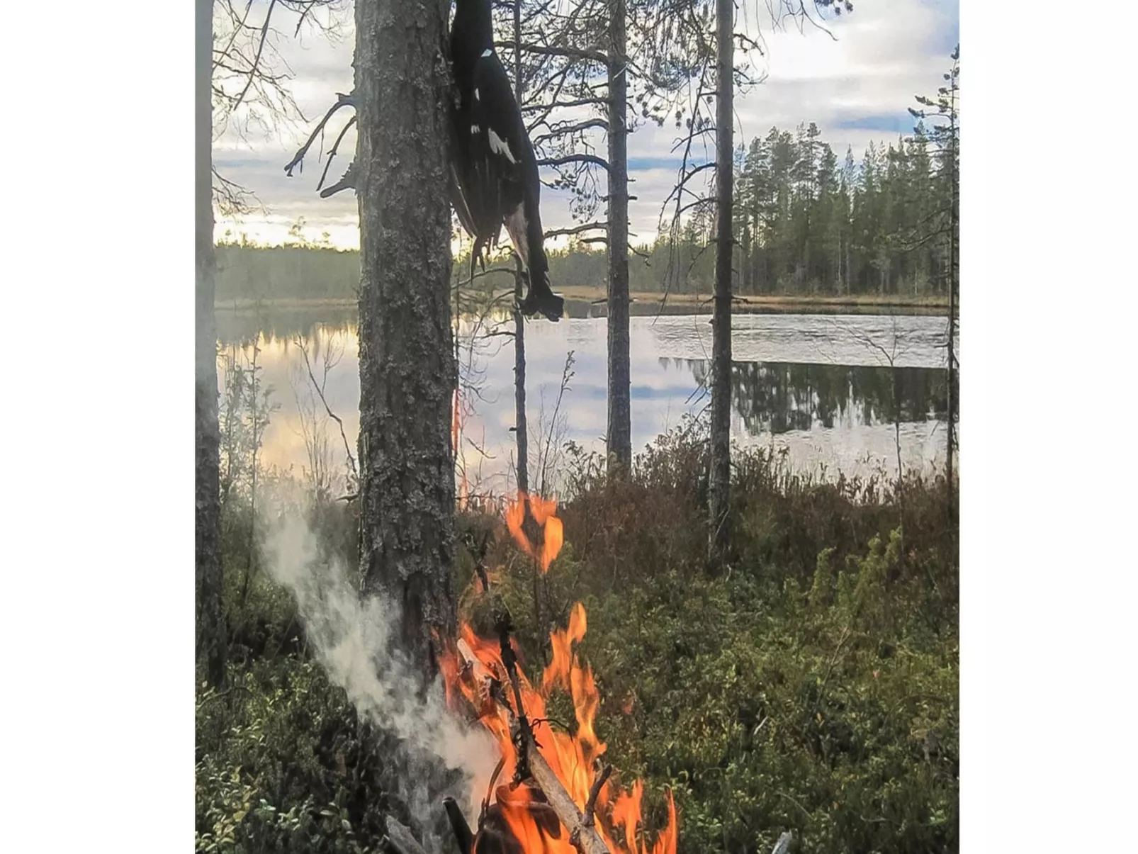 Virsuniemi-Outside