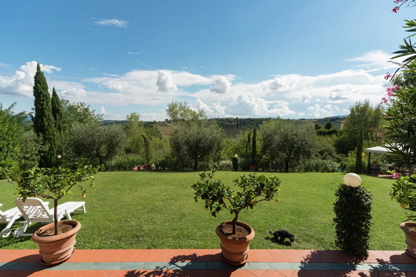 Giotto-Aussicht Sommer