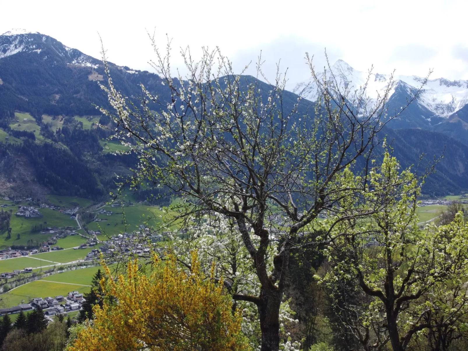 Obertal-Draußen