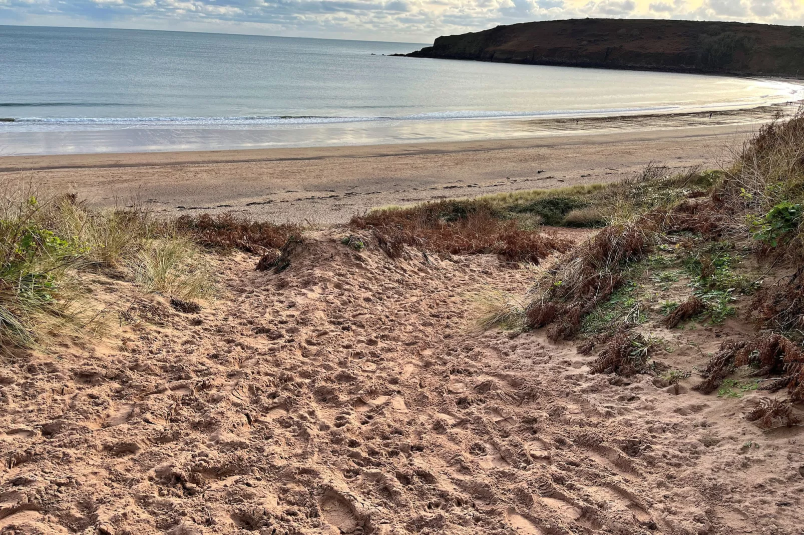 Beach Cove-Gebiete Sommer 1 km