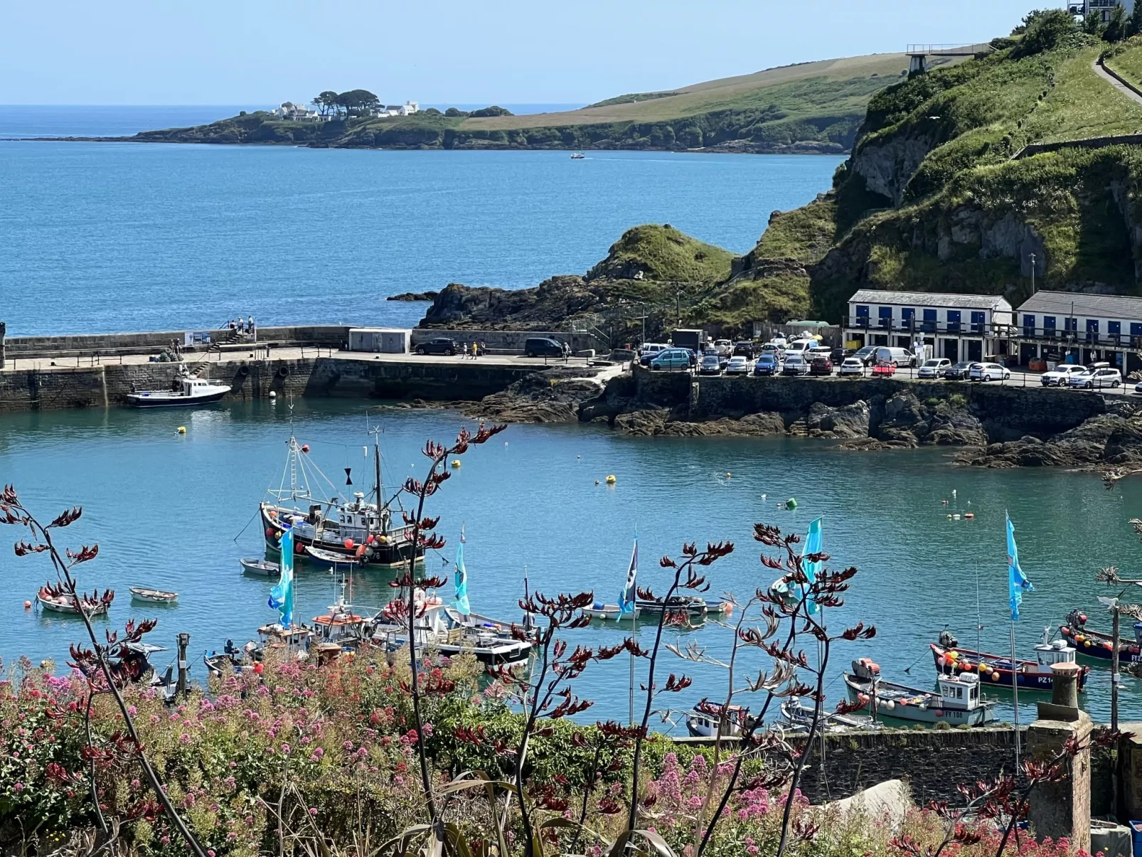 Dolphin Cottage-Area