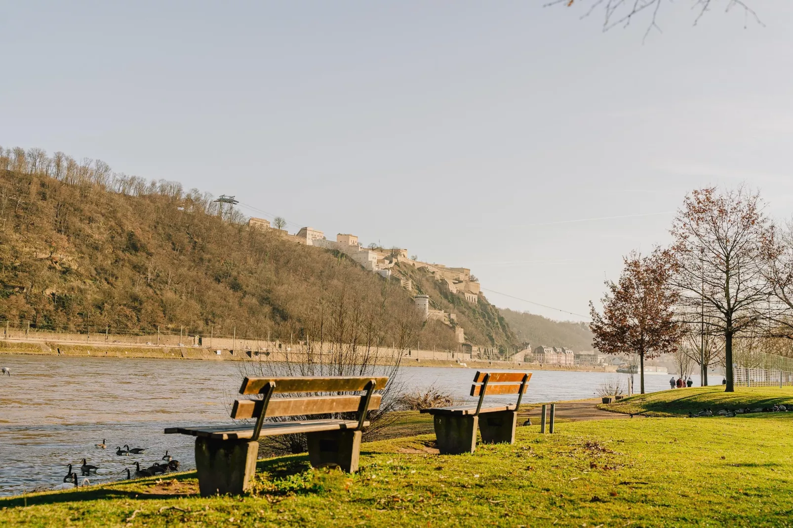 Modern Stay Standard Studio-Gebiete Sommer 1 km