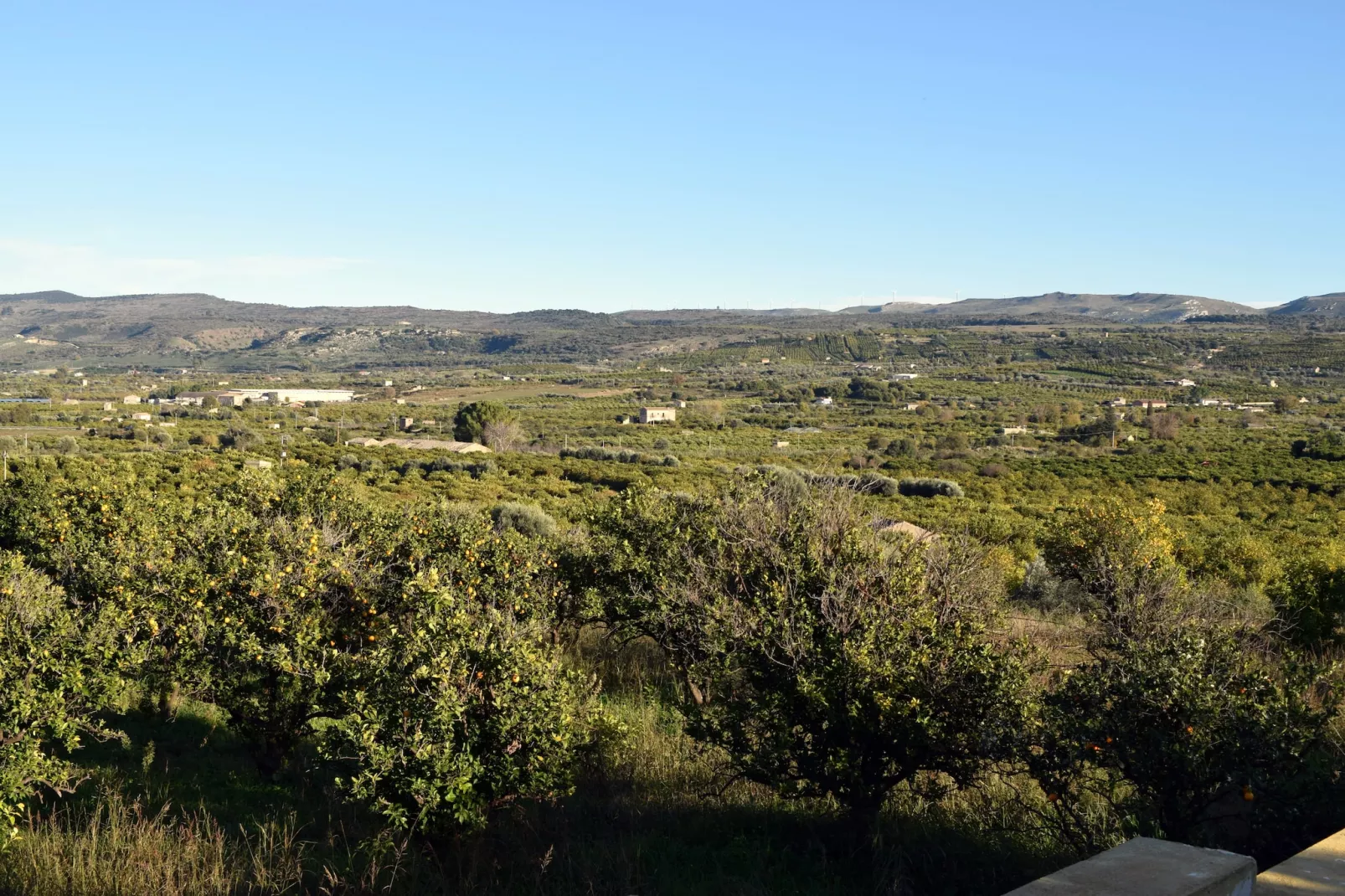 Villa Francofonte-View summer