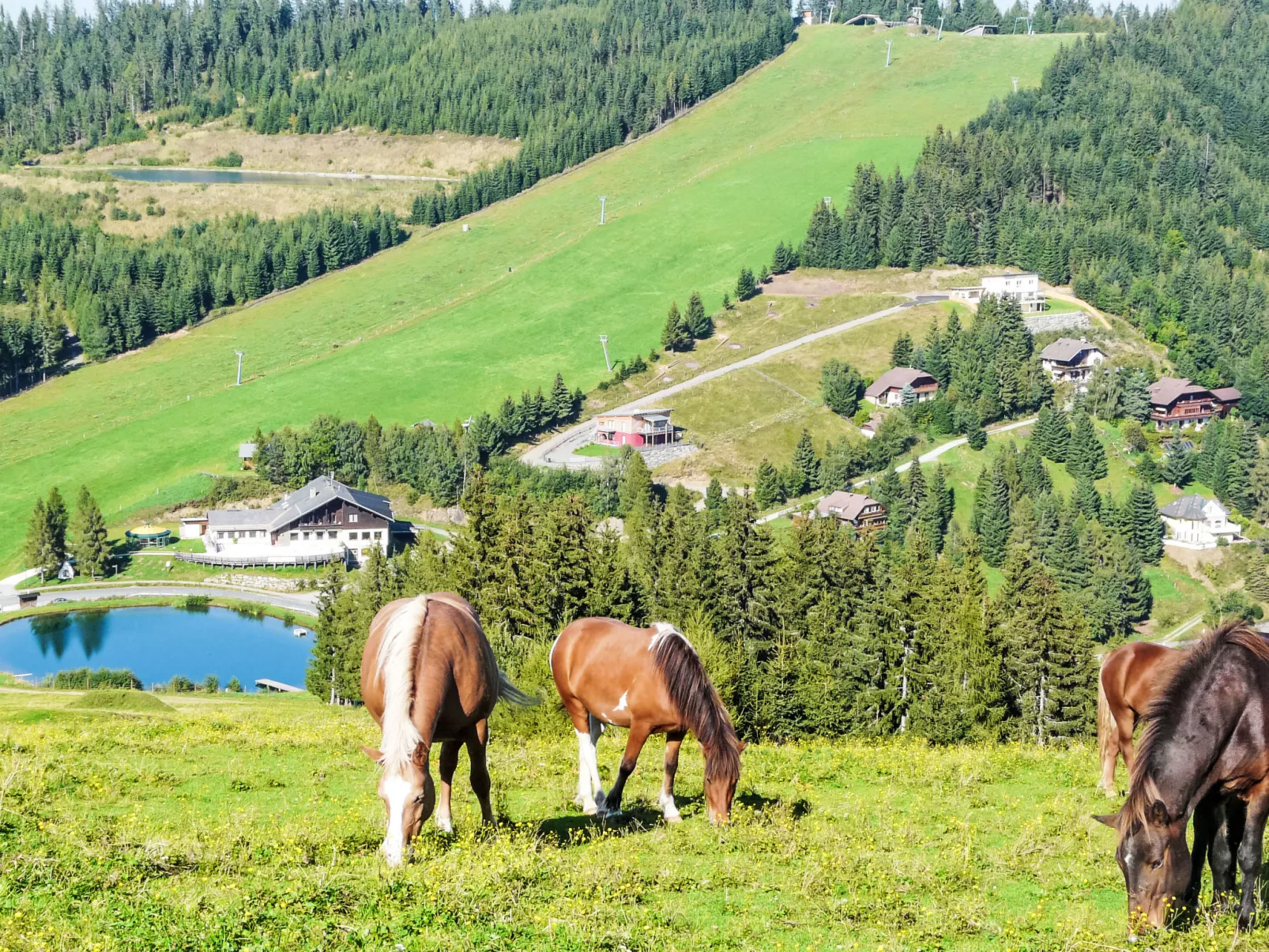Simonhöhe Veitsberg-Draußen