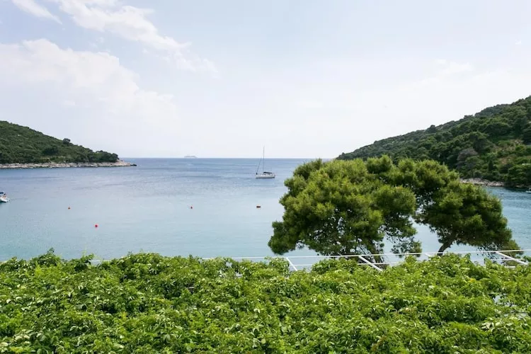 Apartments Franka Saplunara-One-Bedroom Apartment with Terrace and Sea View No 3-View