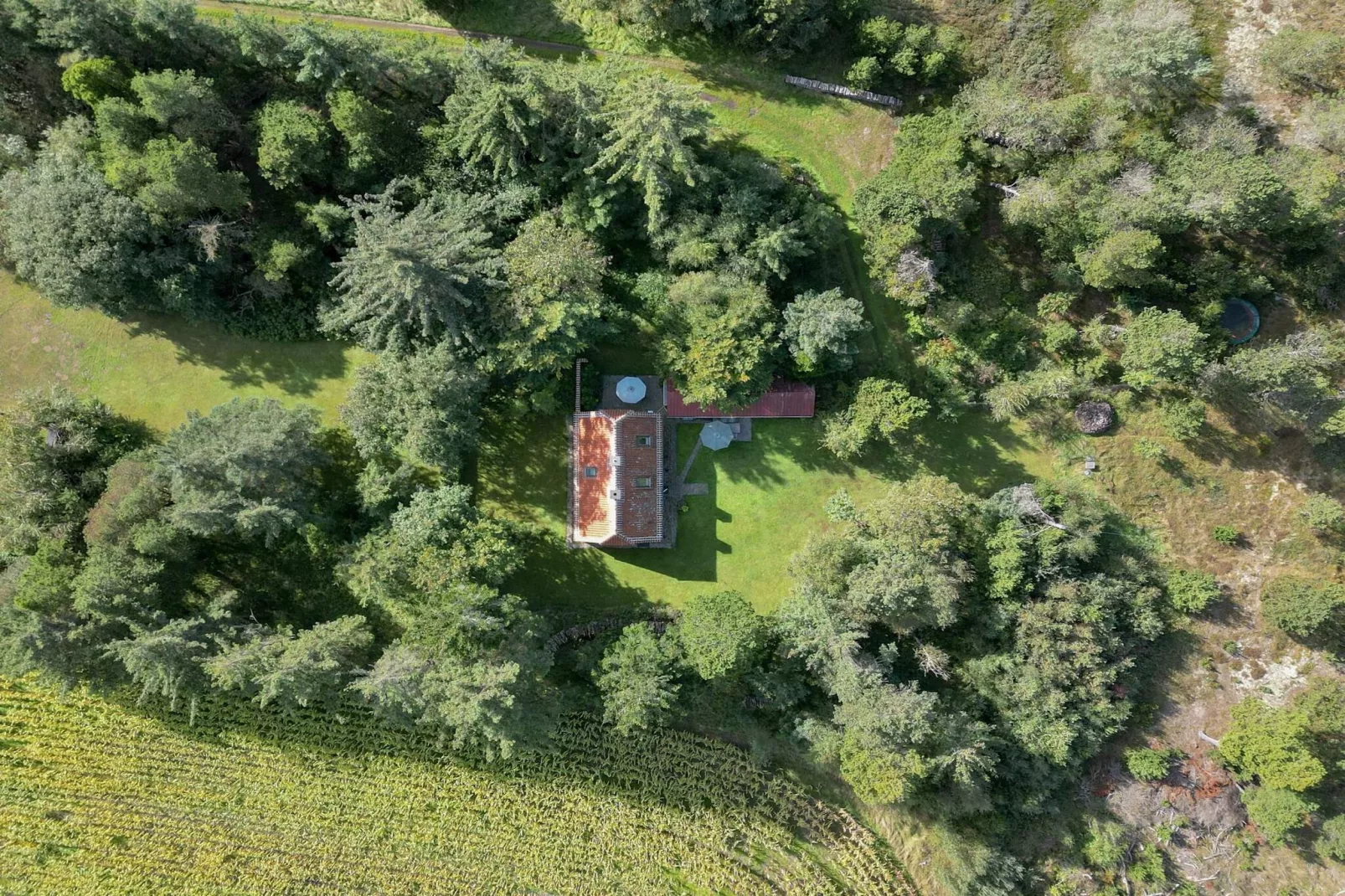 5 star holiday home in Ålbæk-Outdoor