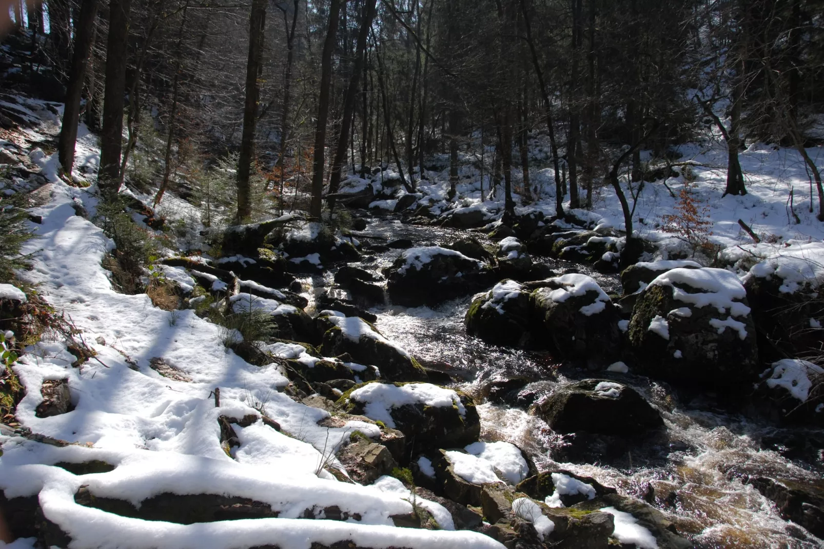 Villa Bel Air-Area winter 20km